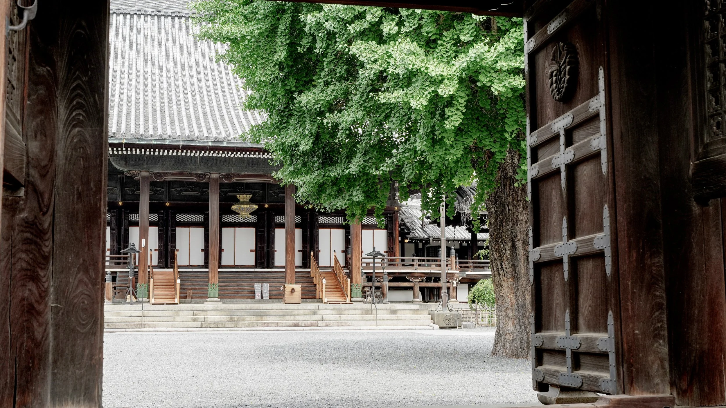 D2_KBukkoji_A7V01634.jpg