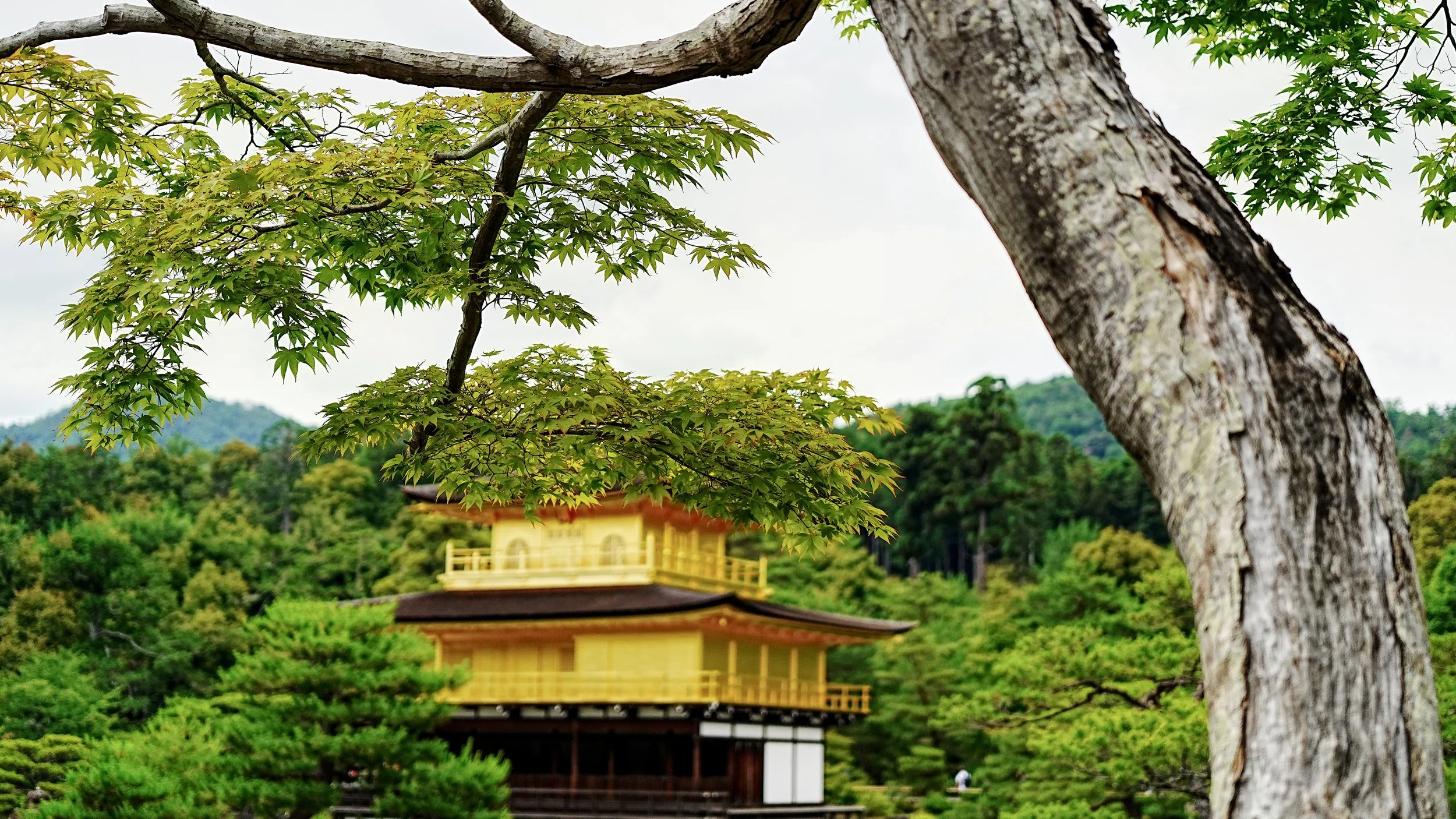 D2_KKinkaku_A7V01727.jpg