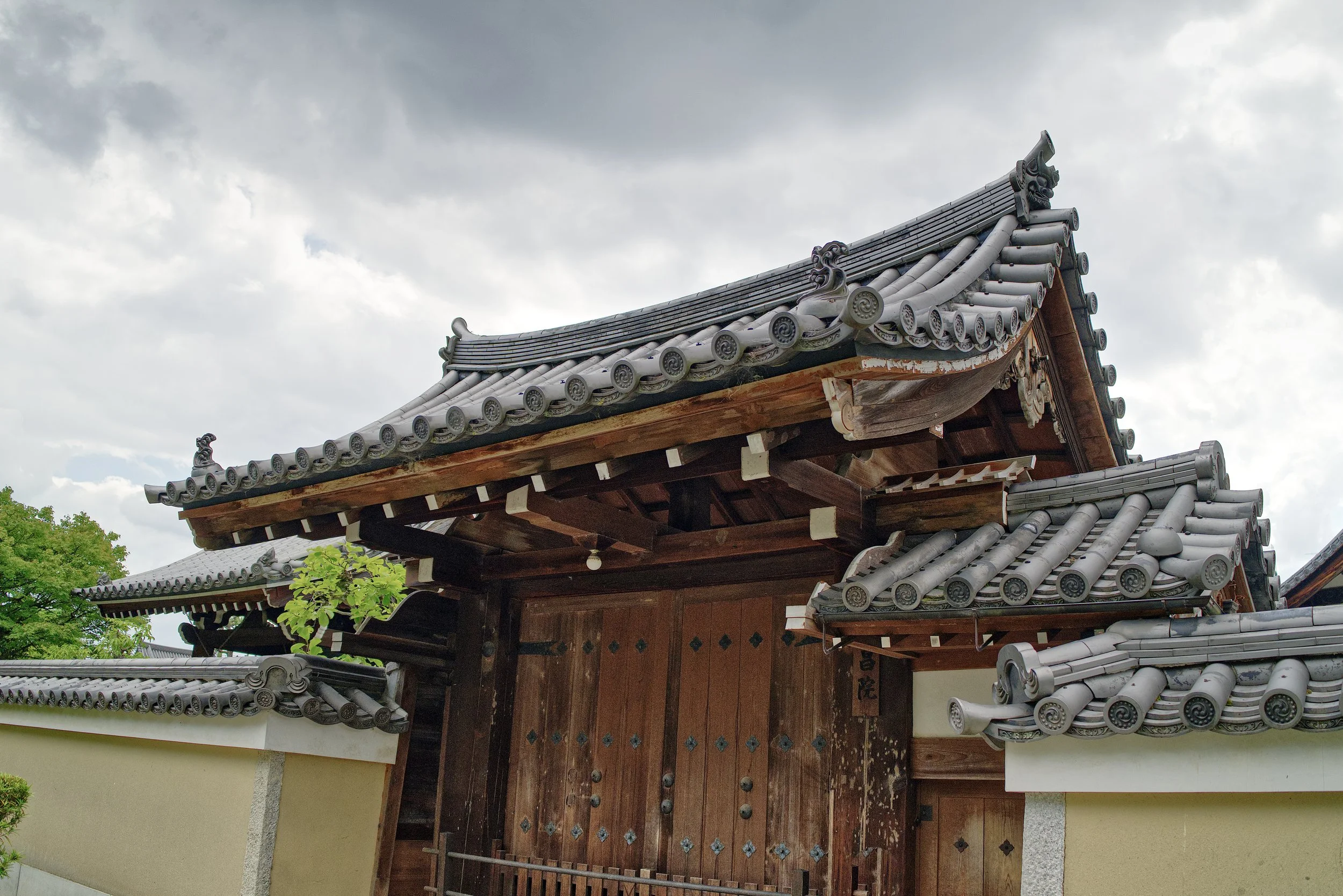 D1_KKenniji_A7V01480.jpg