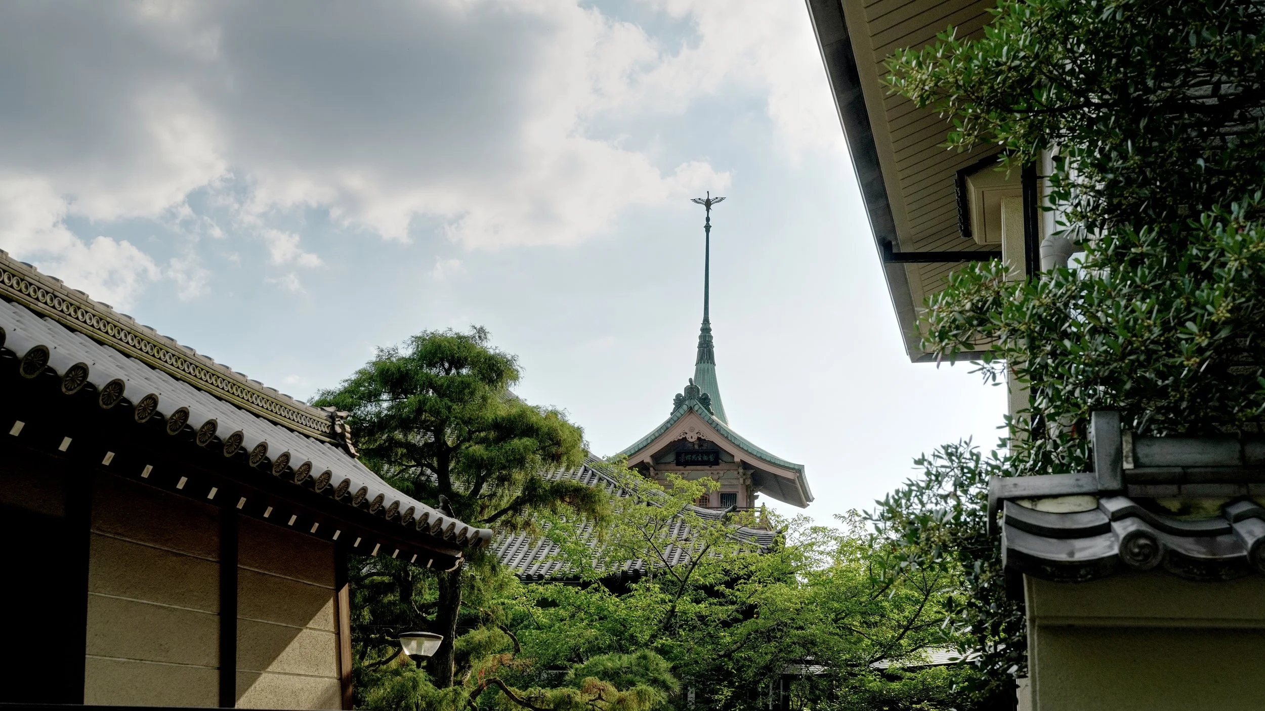 D1_Gion_A7V01542.jpg