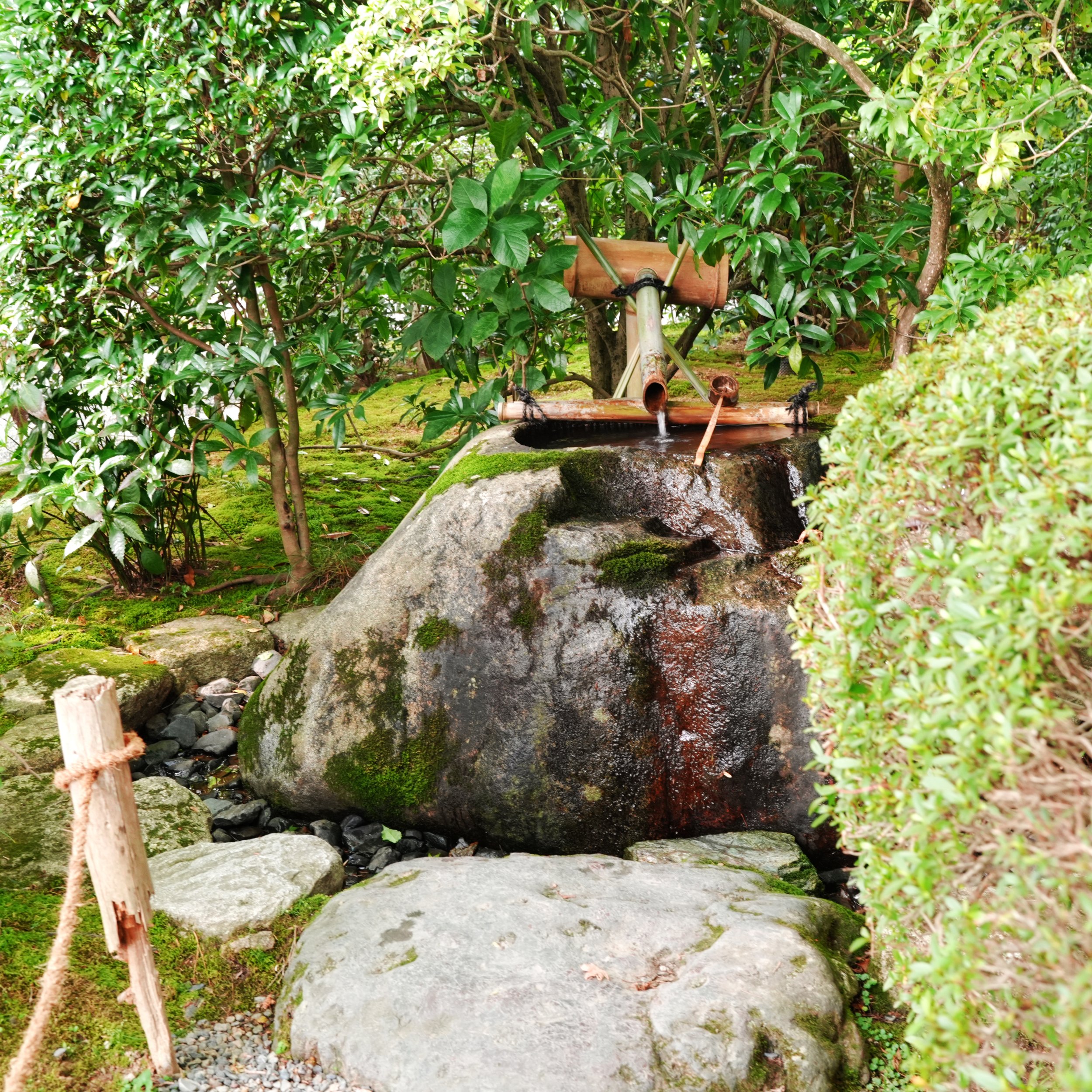 D2_KRyoanji_A7V01787.jpg