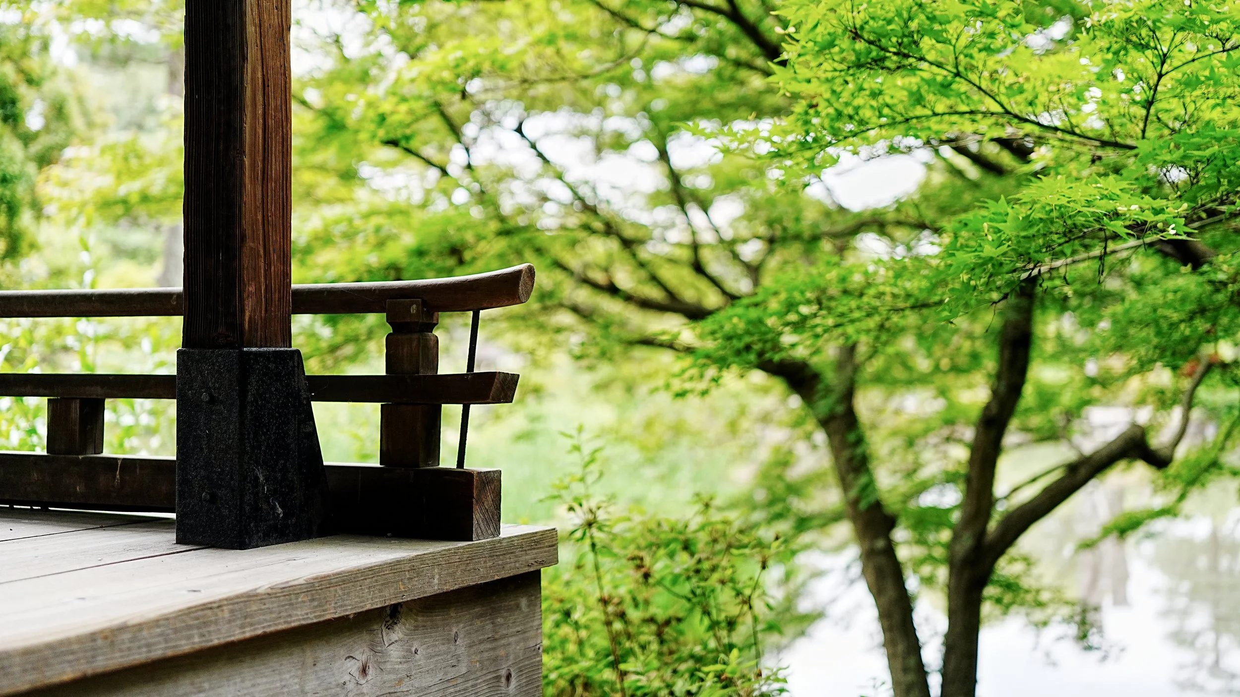 D2_KShoseienGarden_A7V01692.jpg