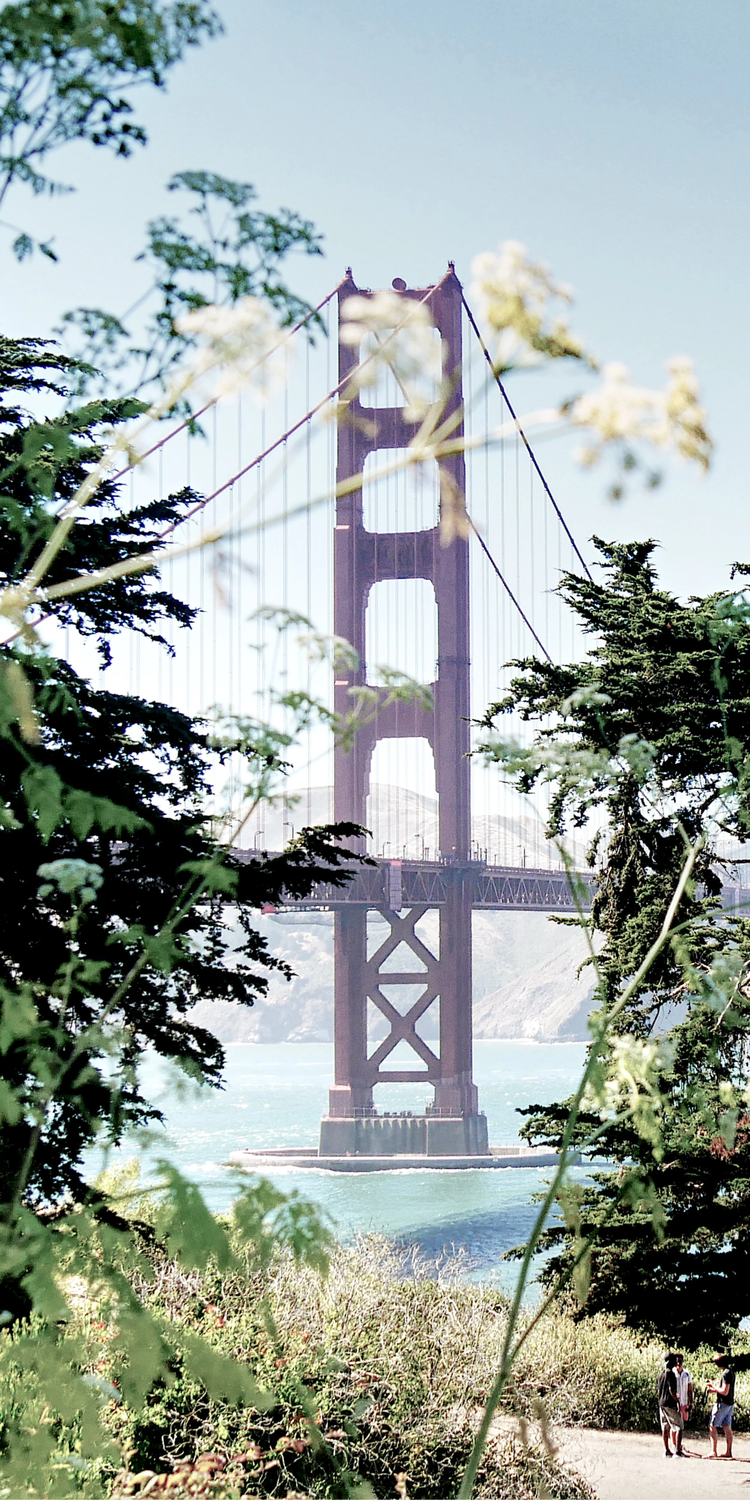 P1030611_Bridge.jpg