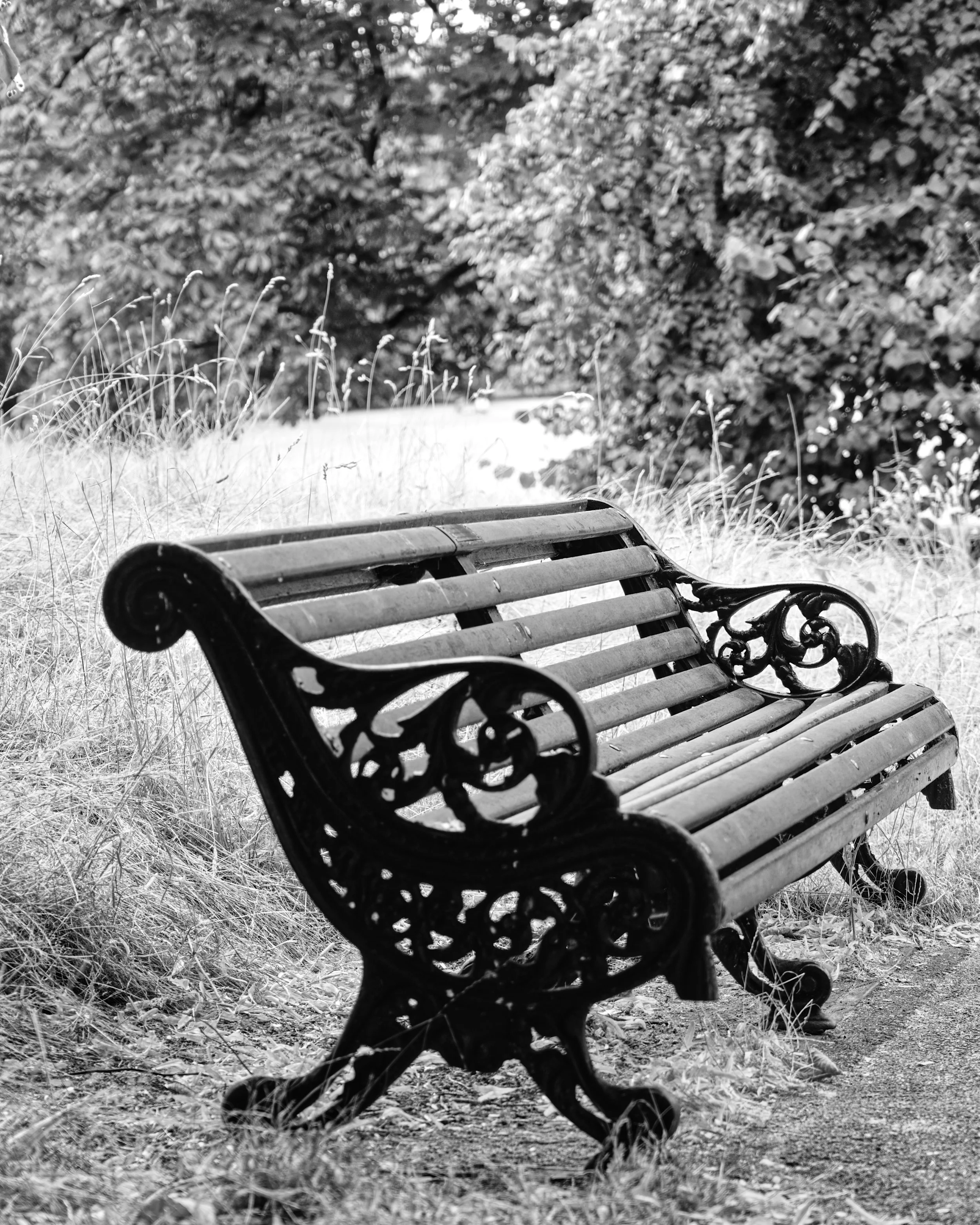 A7400836_BenchGreenwichB&W.jpg