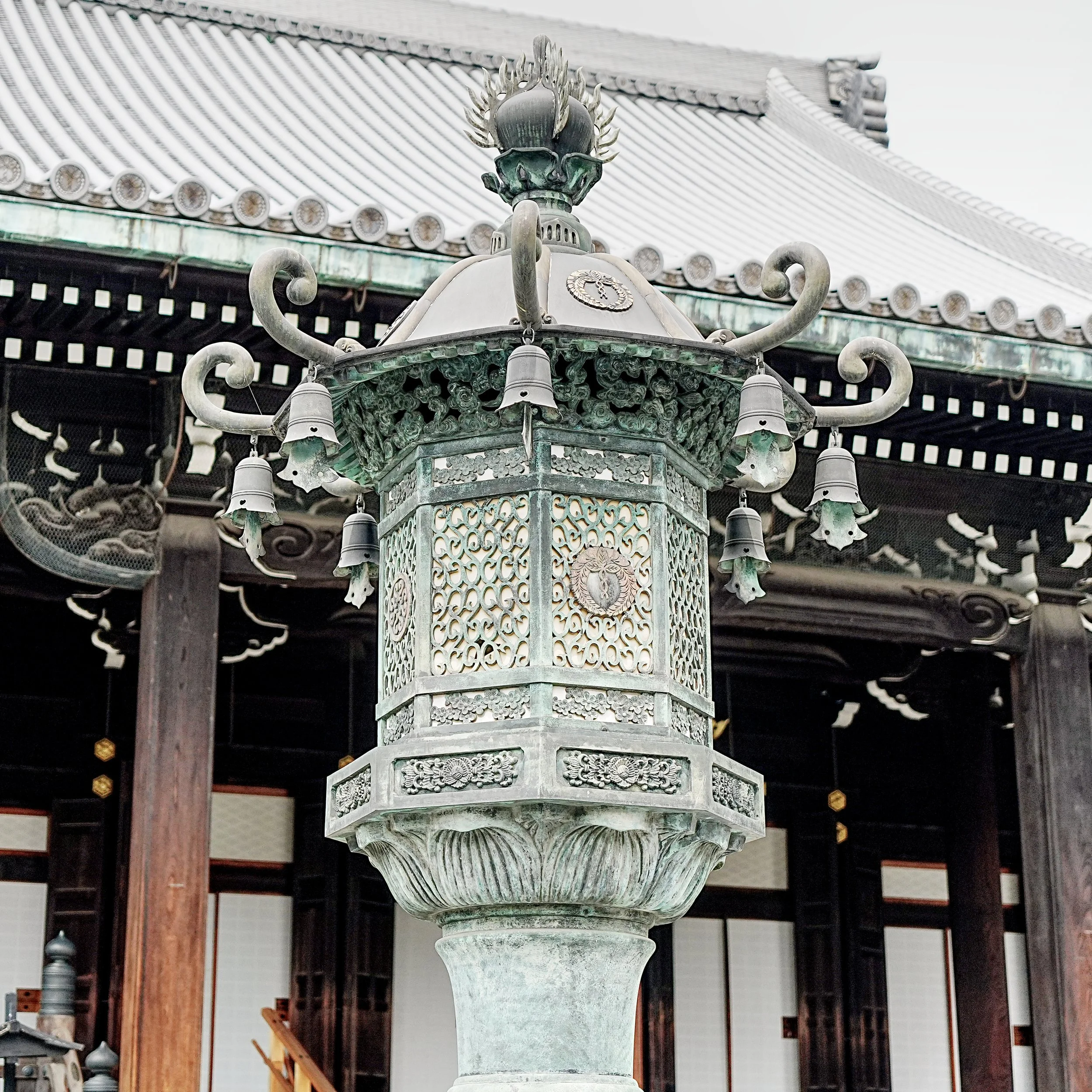 D2_KBukkoji_A7V01648.jpg