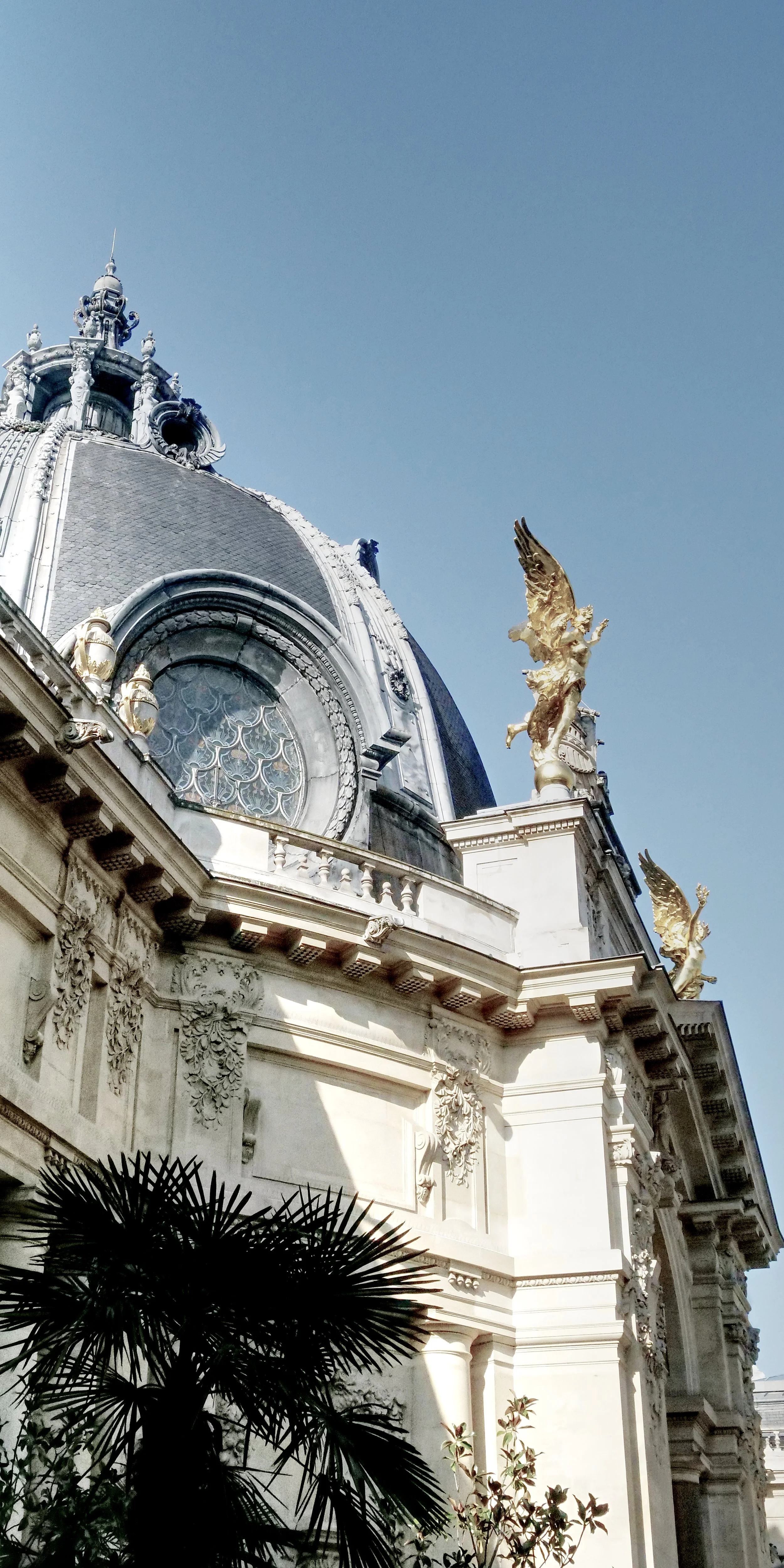 P1043891_GdPalais.jpg