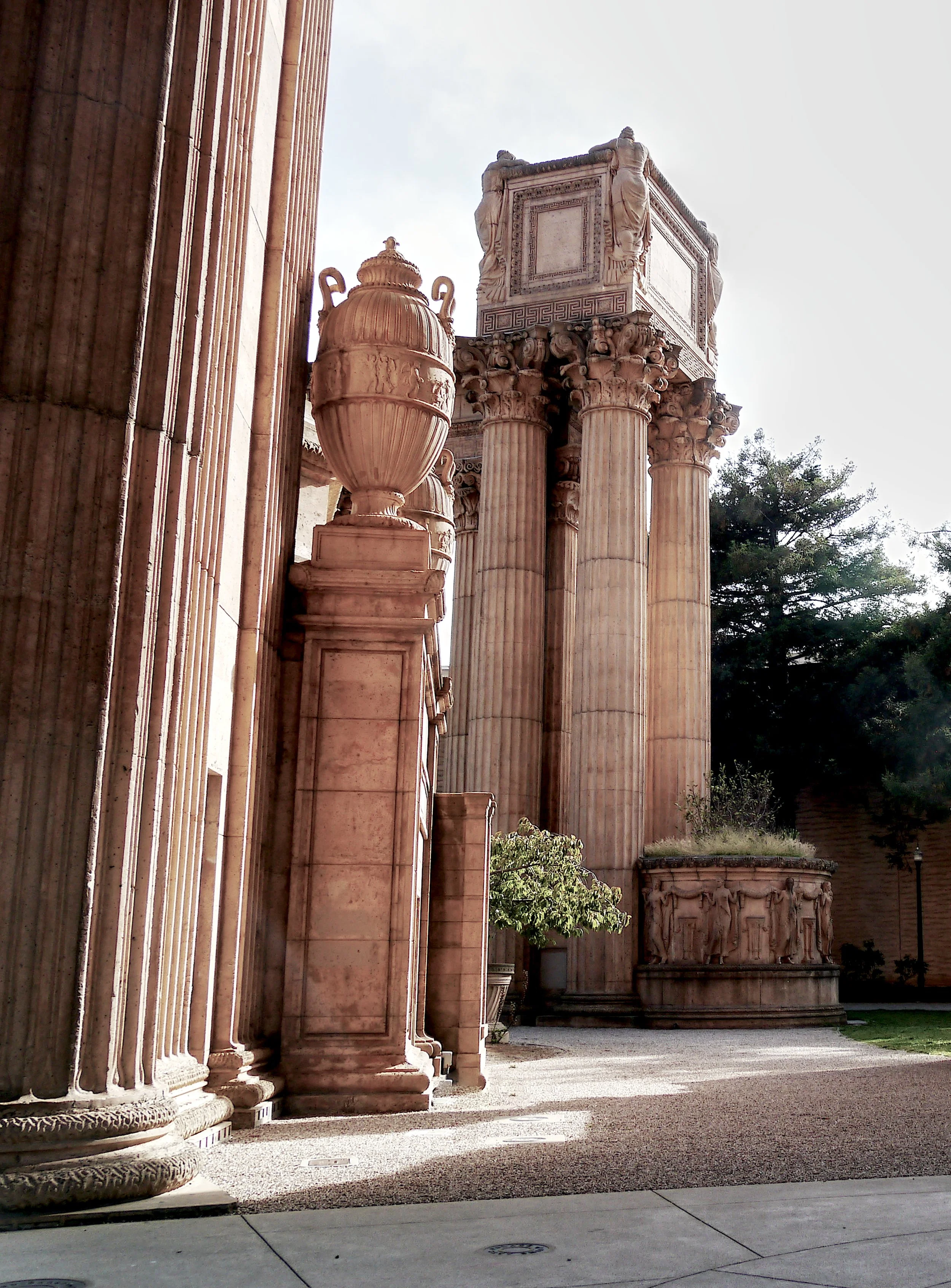 P1070251_SFOPresidio.jpg