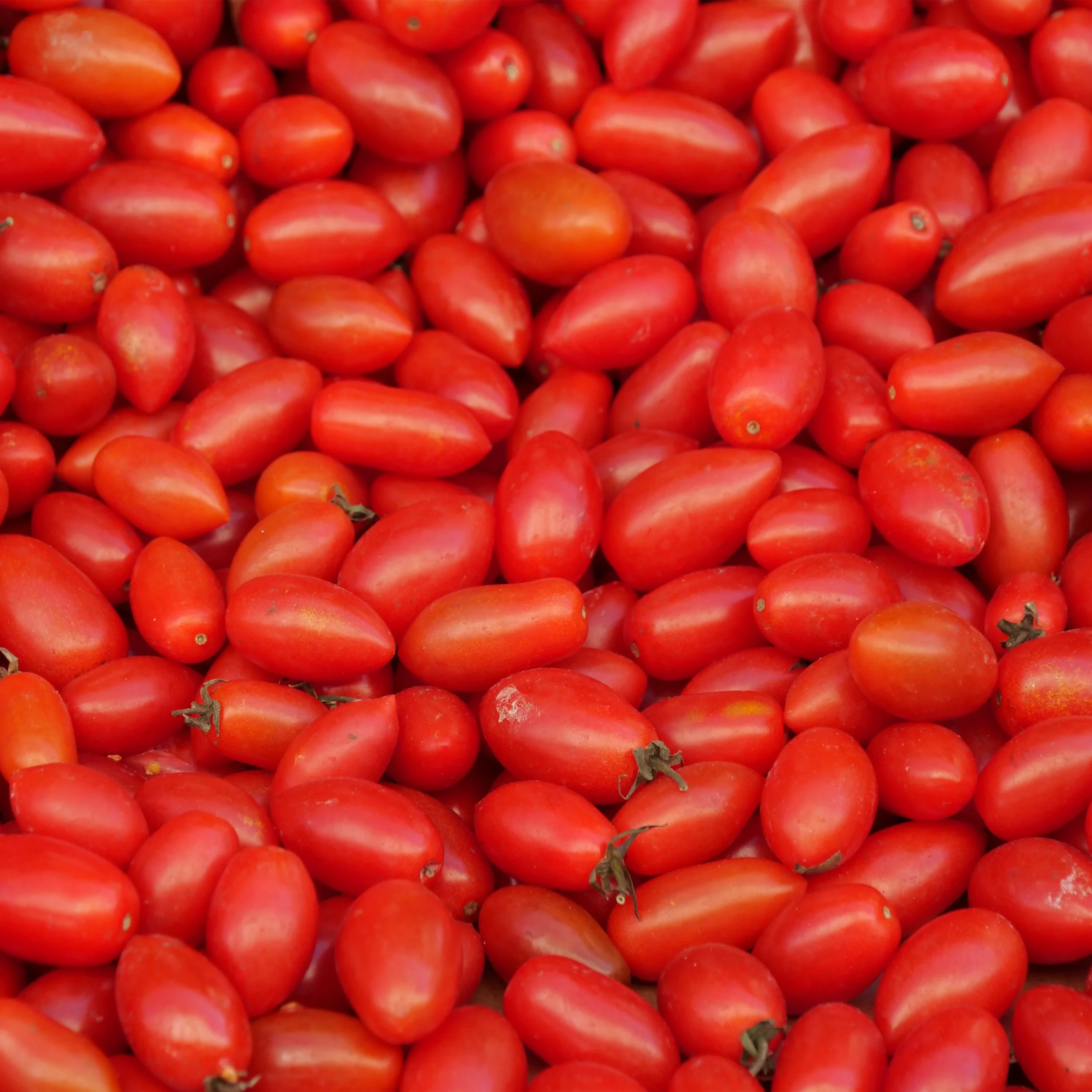 P1027486_FoodMarket.jpg