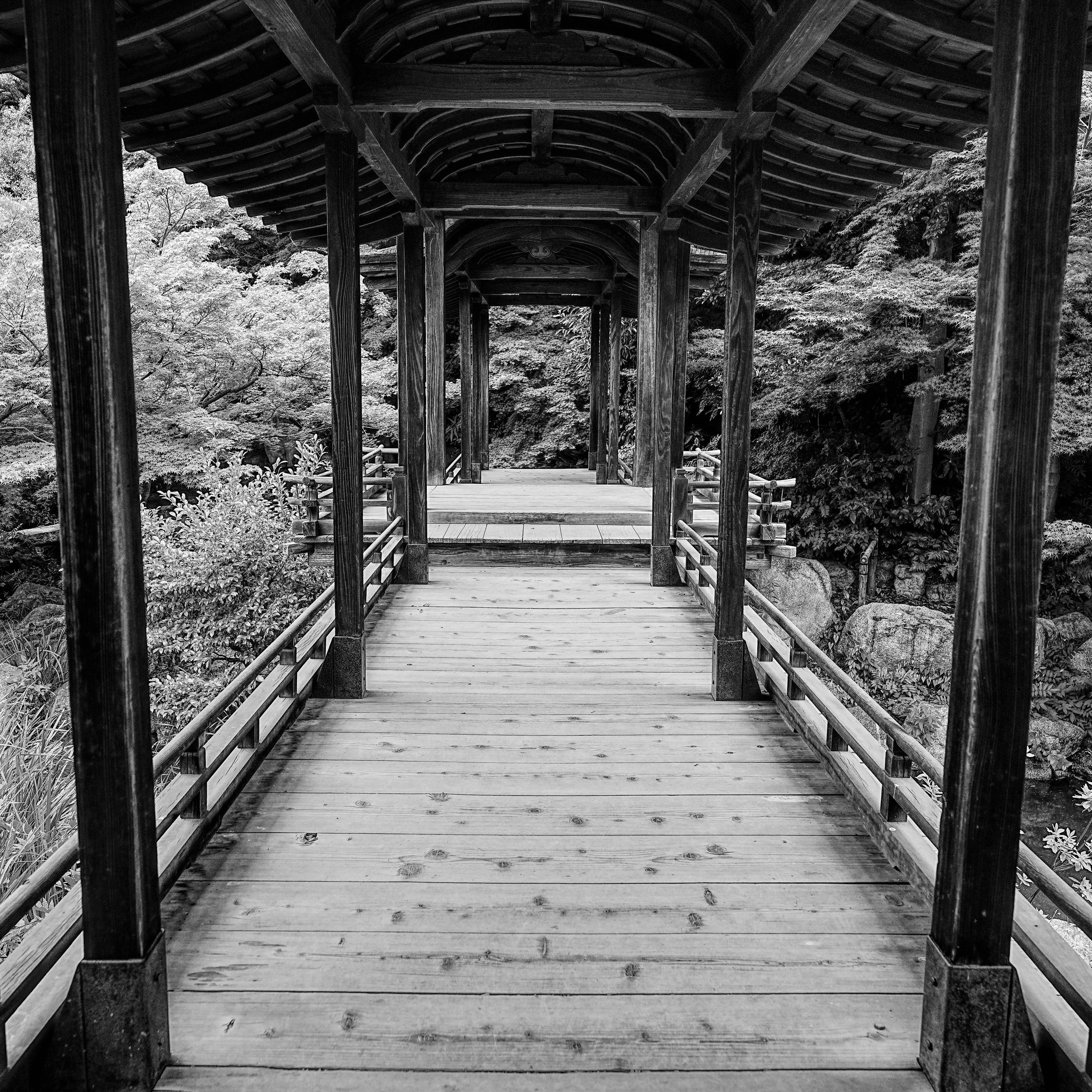 B&W_D2_KShoseienGarden_A7V01685.jpg