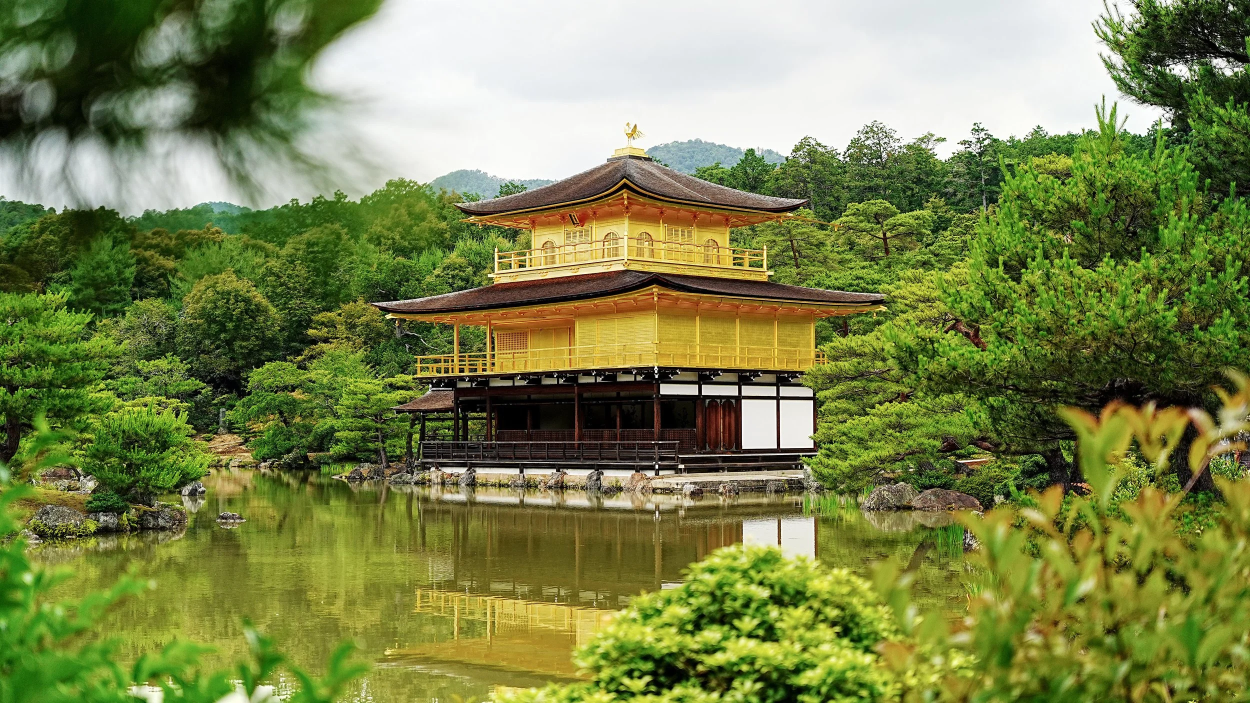 D2_KKinkaku_A7V01733.jpg