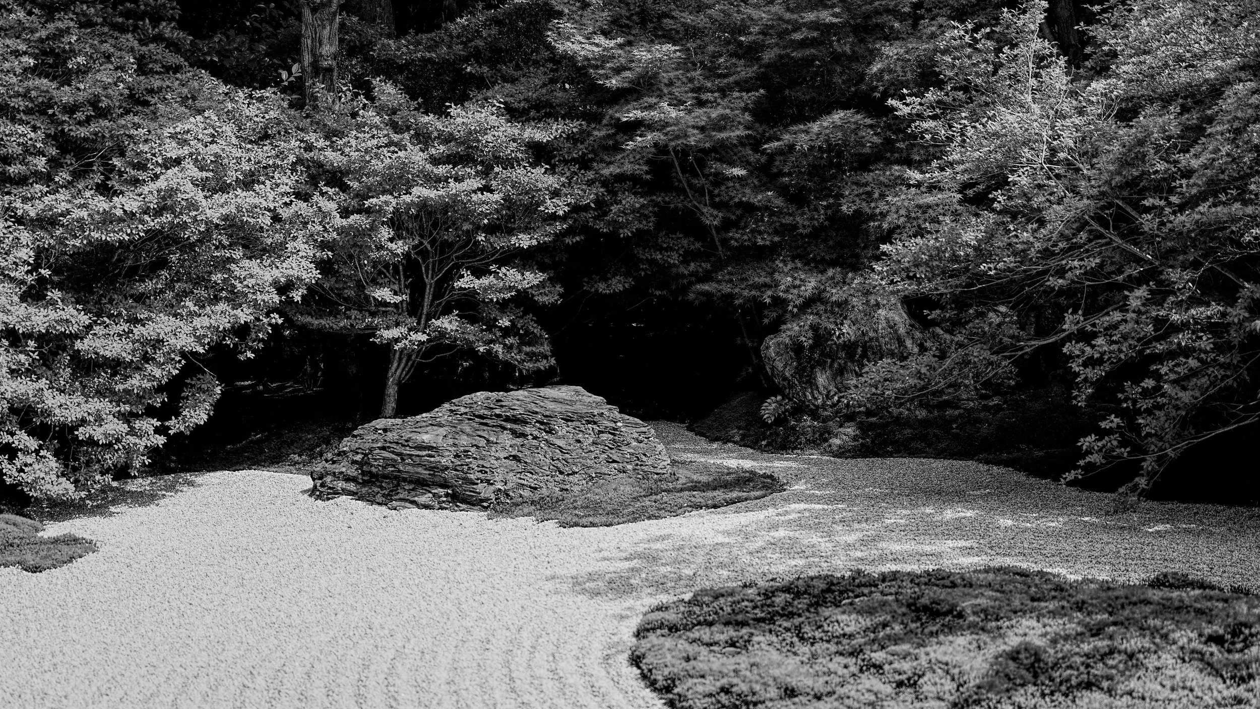 B&W_D1_KRyosoku_A7V01466.jpg
