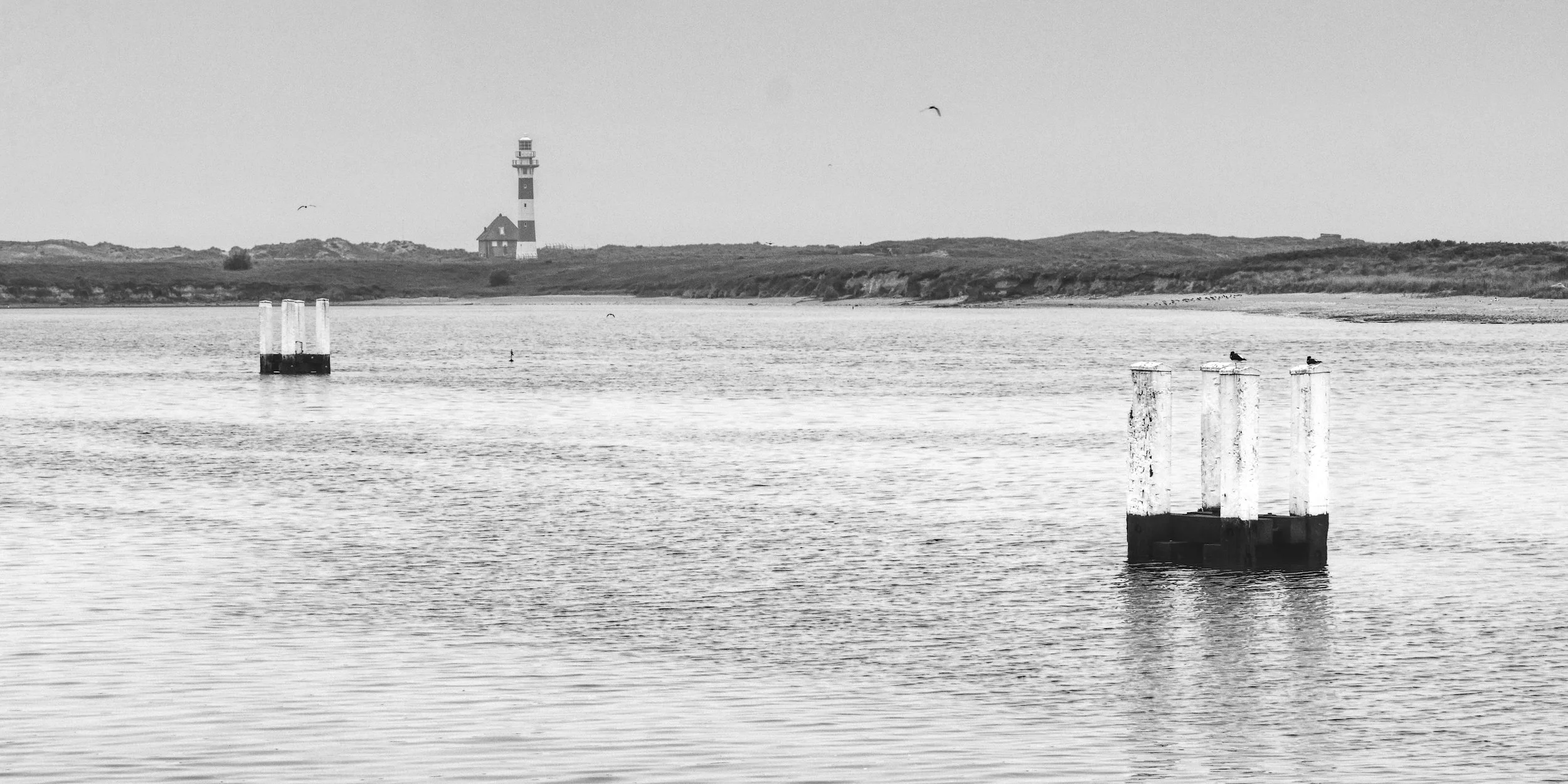 P1021934_B&WHarbour.jpg