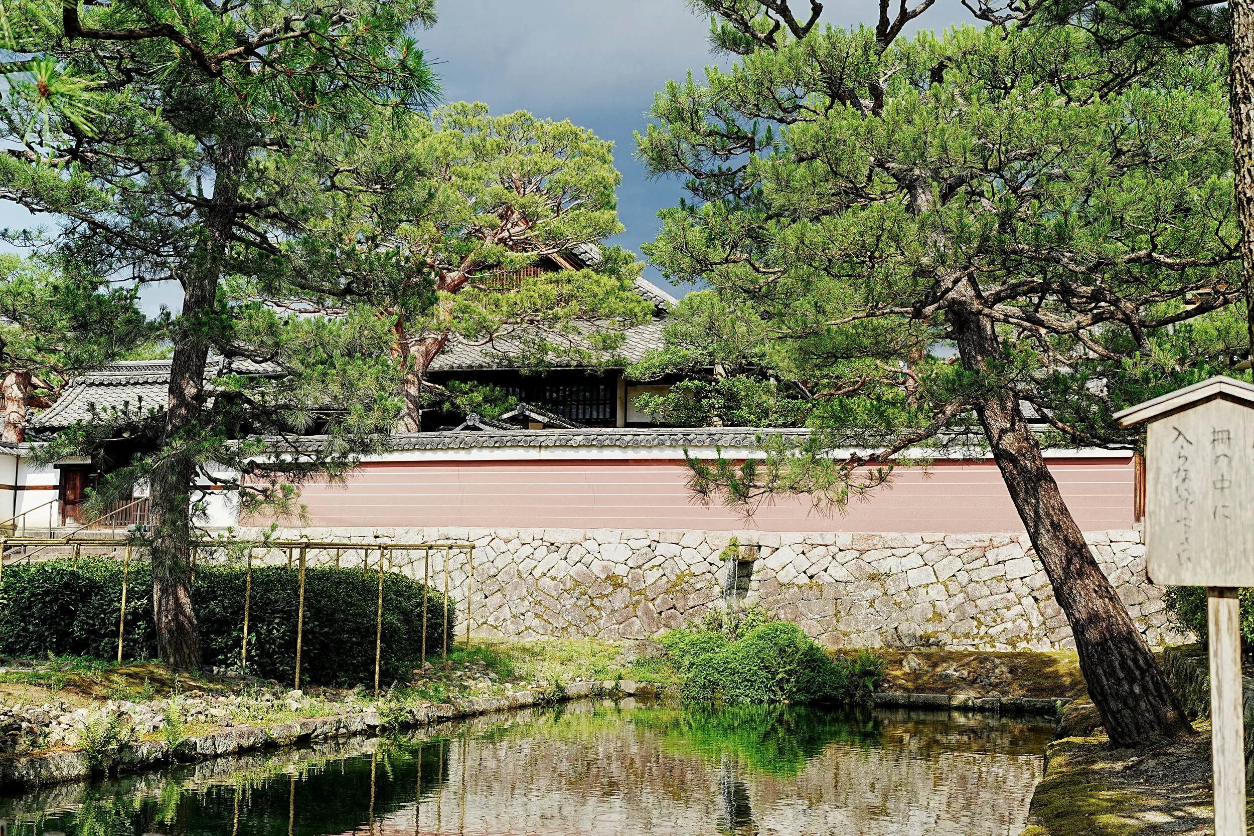 D1_KKenniji_A7V01489.jpg