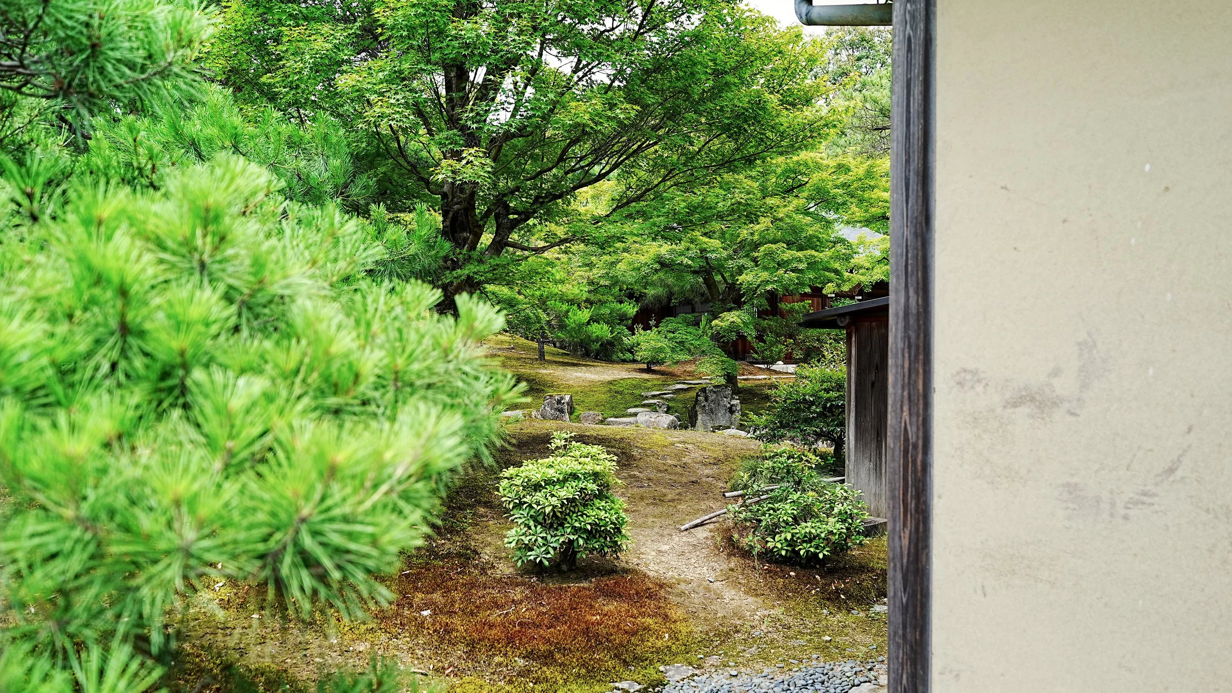 D2_KKinkaku_A7V01743.jpg