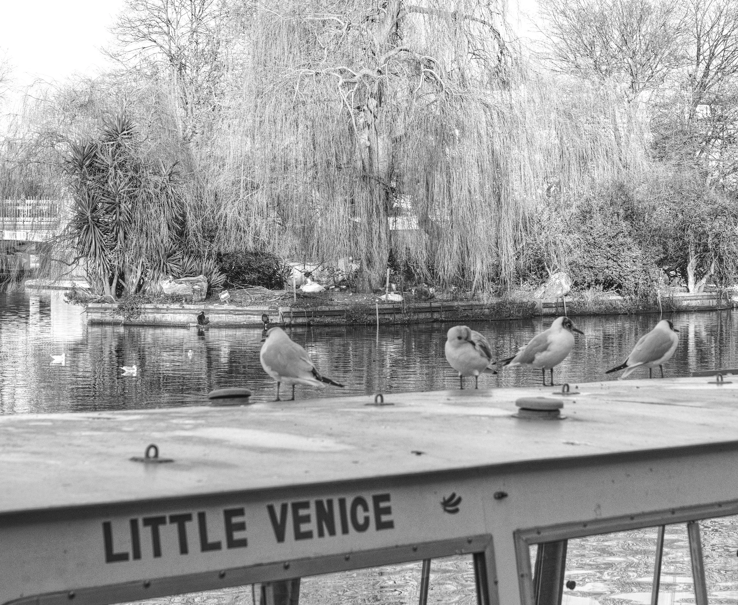 A7402343_LondonLittleVeniceB&W.jpg