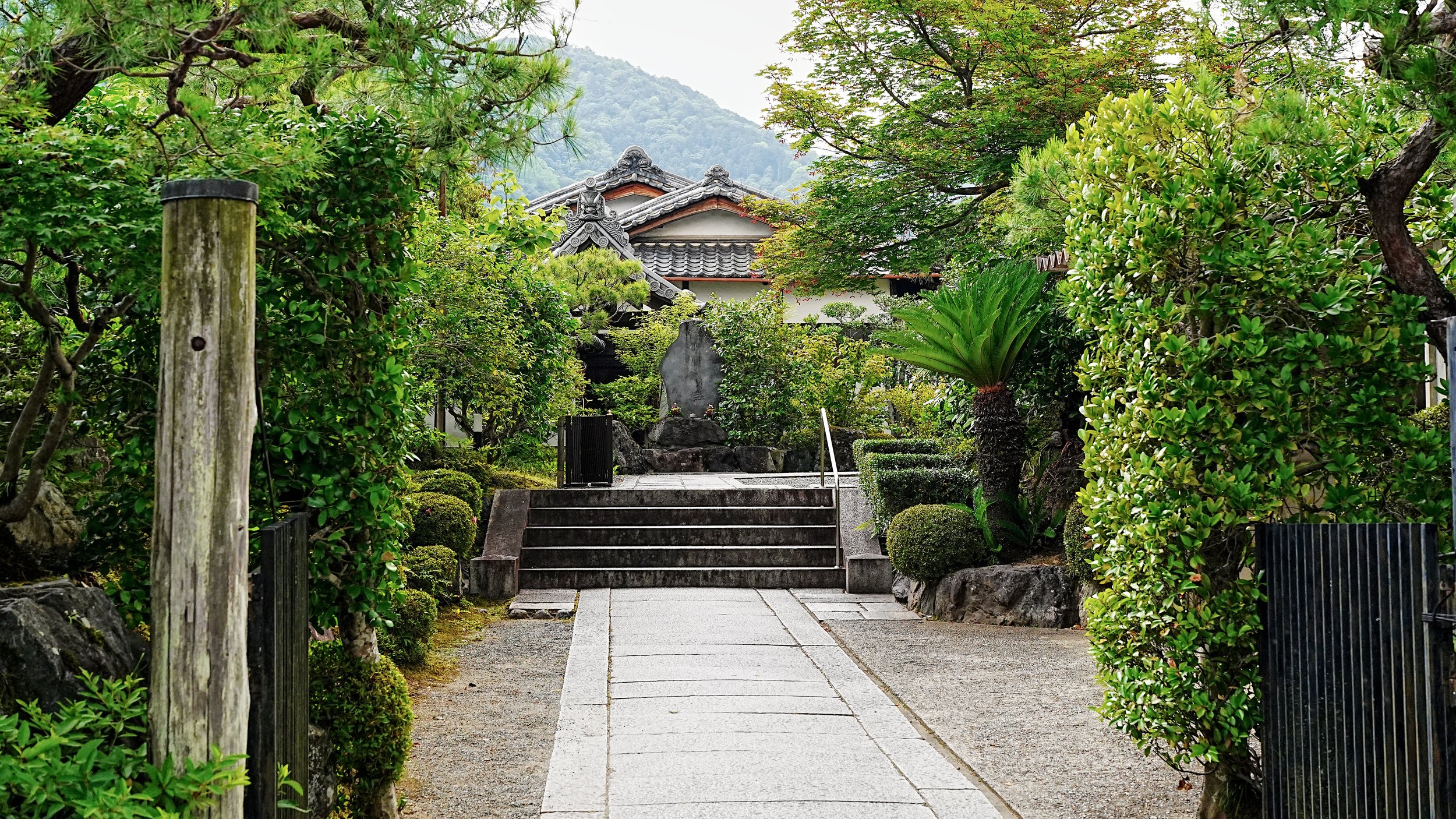 D2_KTenryuji_A7V01825.jpg