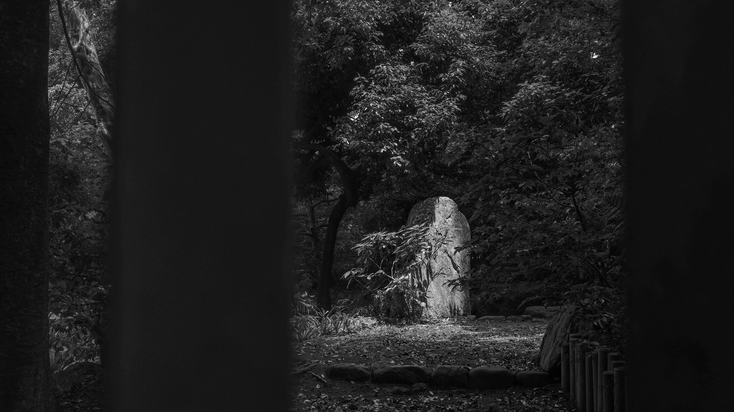 B&W_D3_KImperialPark_AF171387.jpg