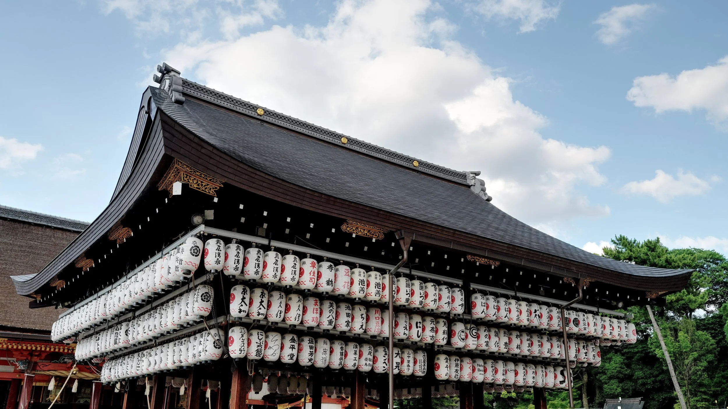 D1_KYasaka_A7V01505.jpg