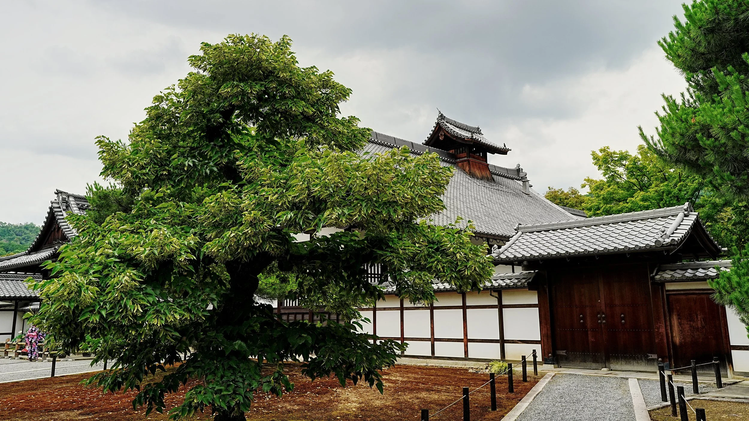 D2_KKinkaku_A7V01713.jpg