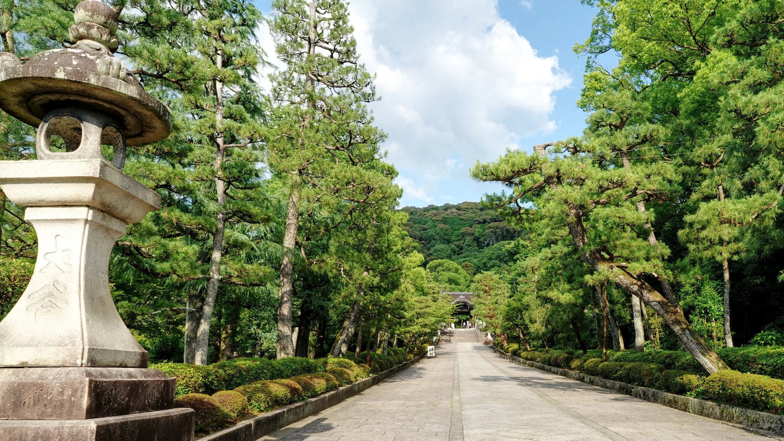 D1_KSorinji_A7V01539.jpg