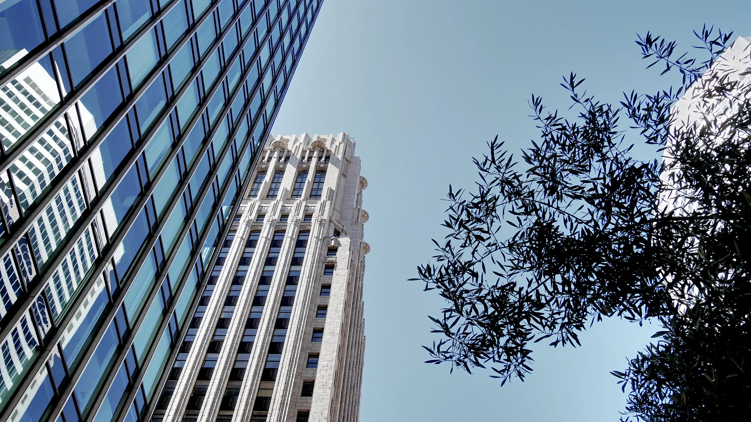 P1030674_Downtown.jpg