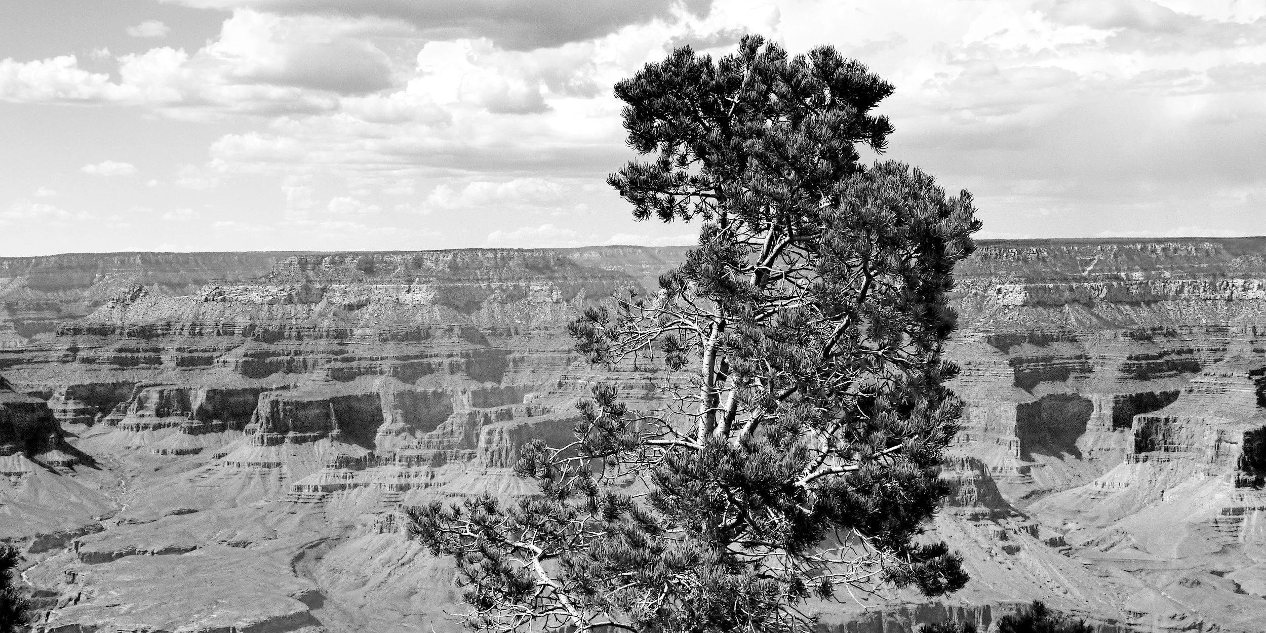 P1070326_B&WGrCanyon.jpg