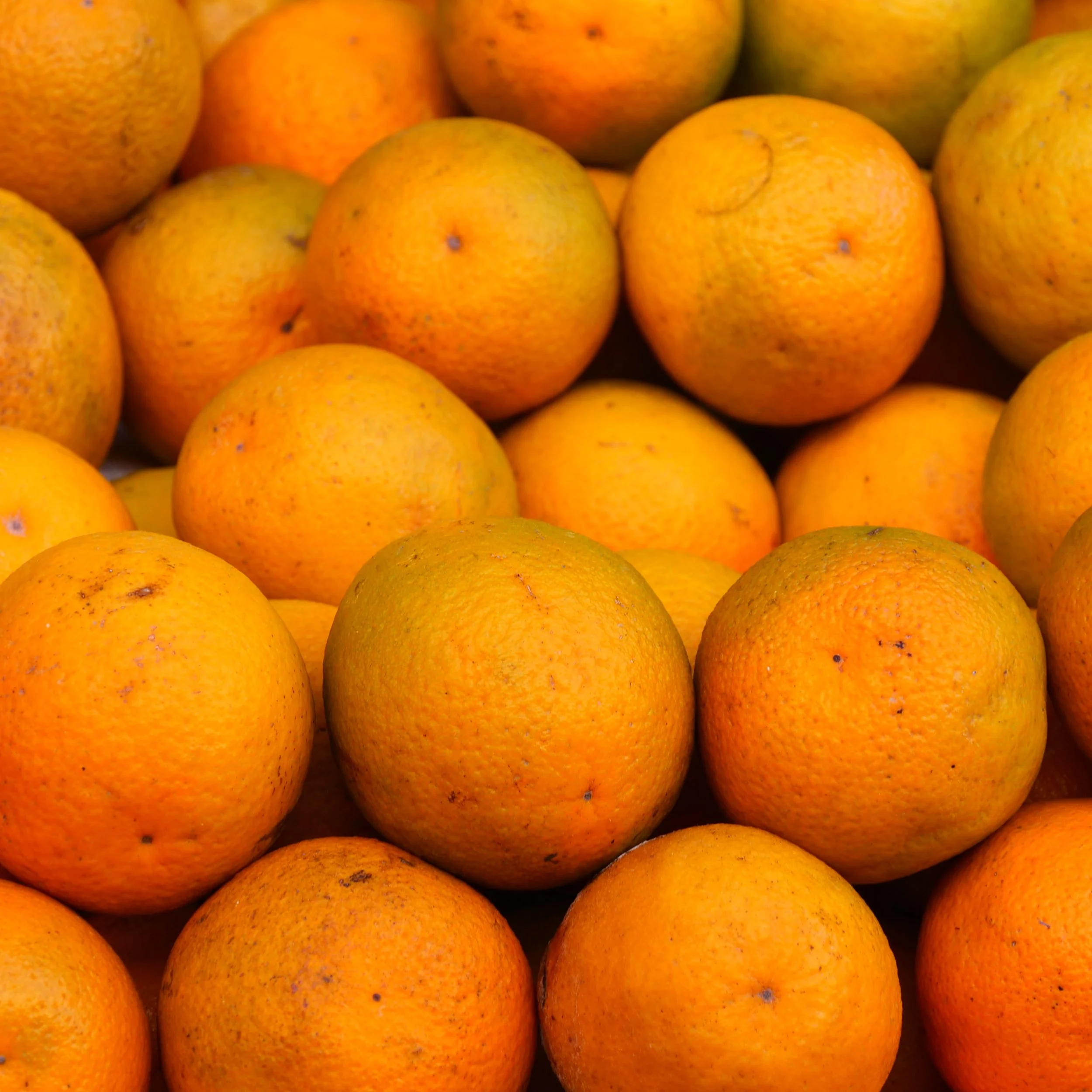 P1027481_FoodMarket.jpg