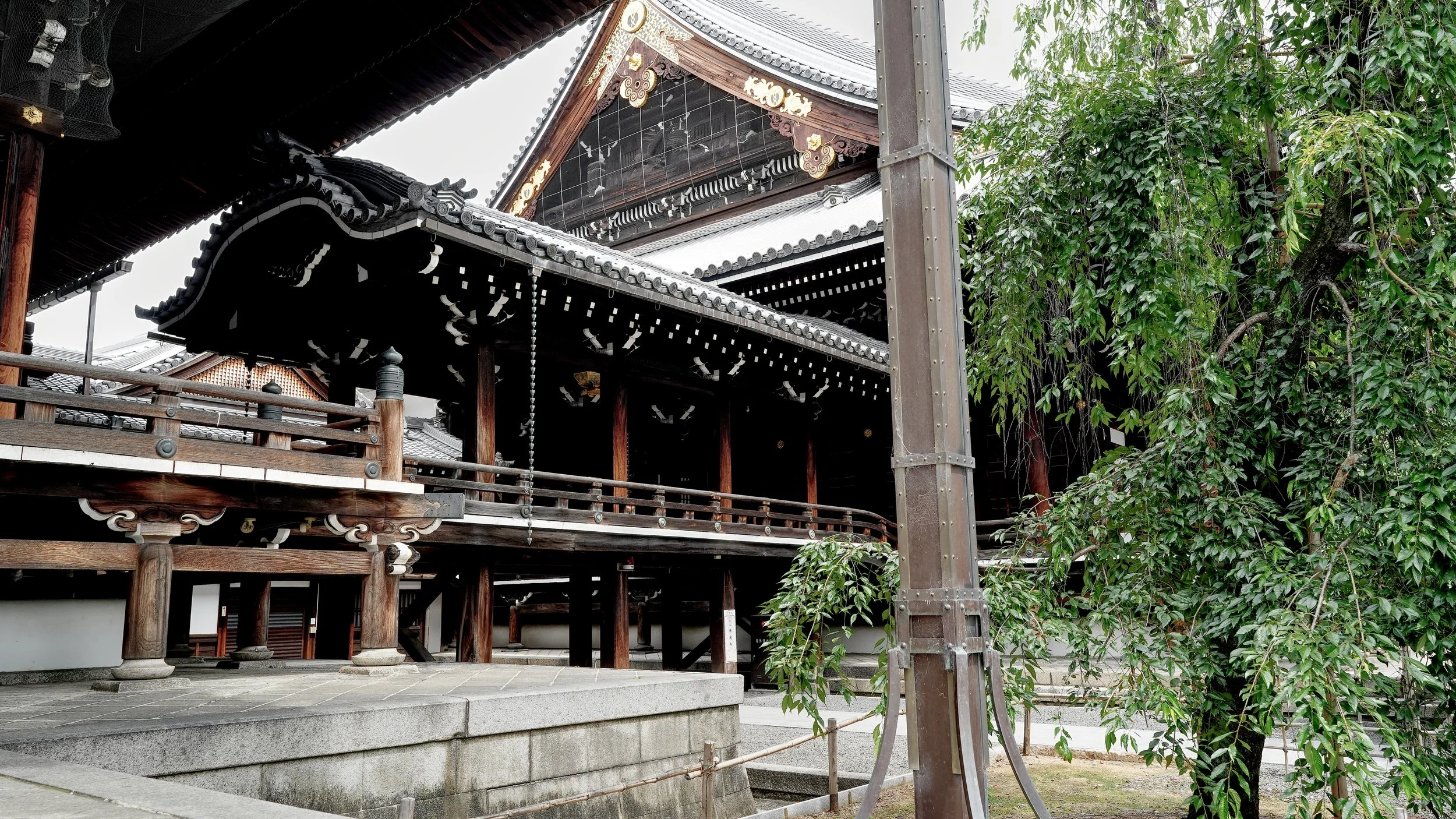 D2_KBukkoji_A7V01640.jpg