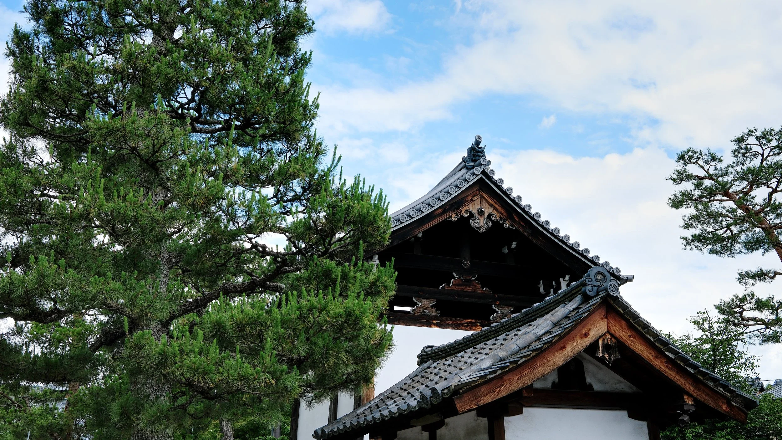 D1_KKenniji_AF131288.jpg