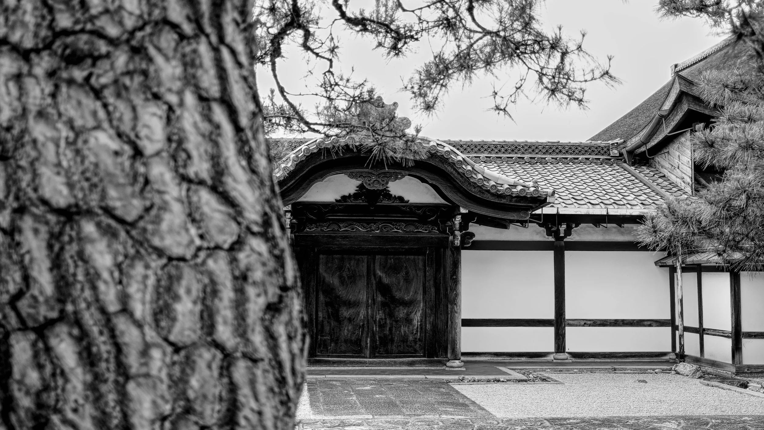 B&W_D1_KKenniji_AF131284.jpg