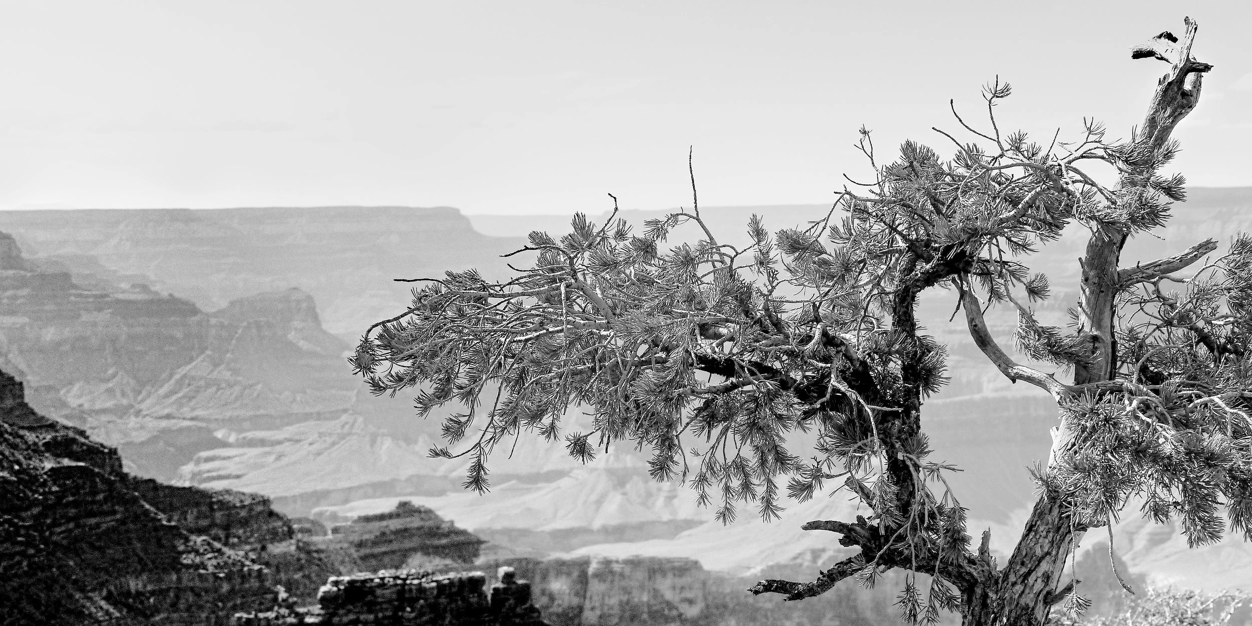 P1070349_B&WGrCanyon.jpg