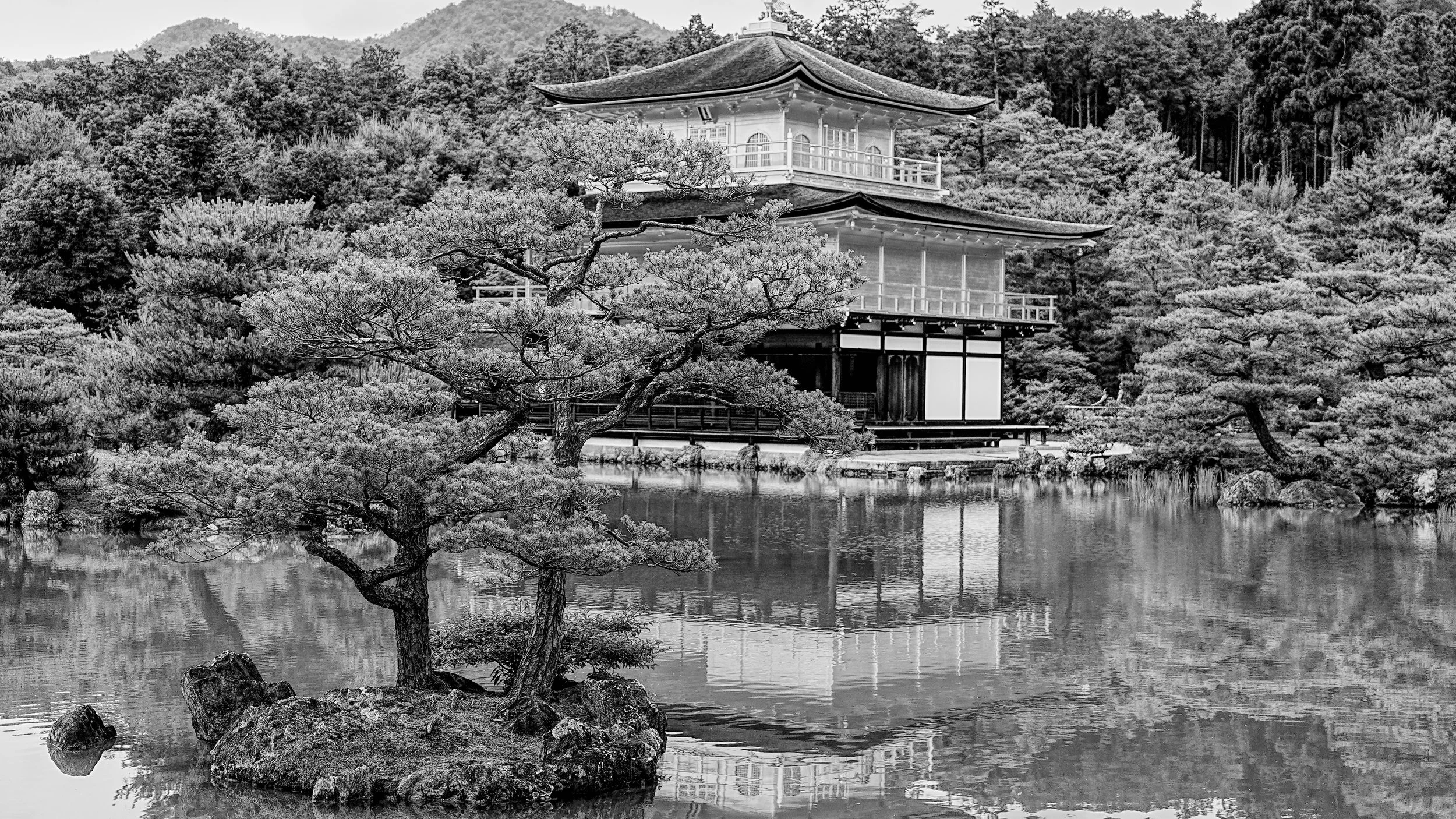 B&W_D2_KKinkaku_A7V01730.jpg
