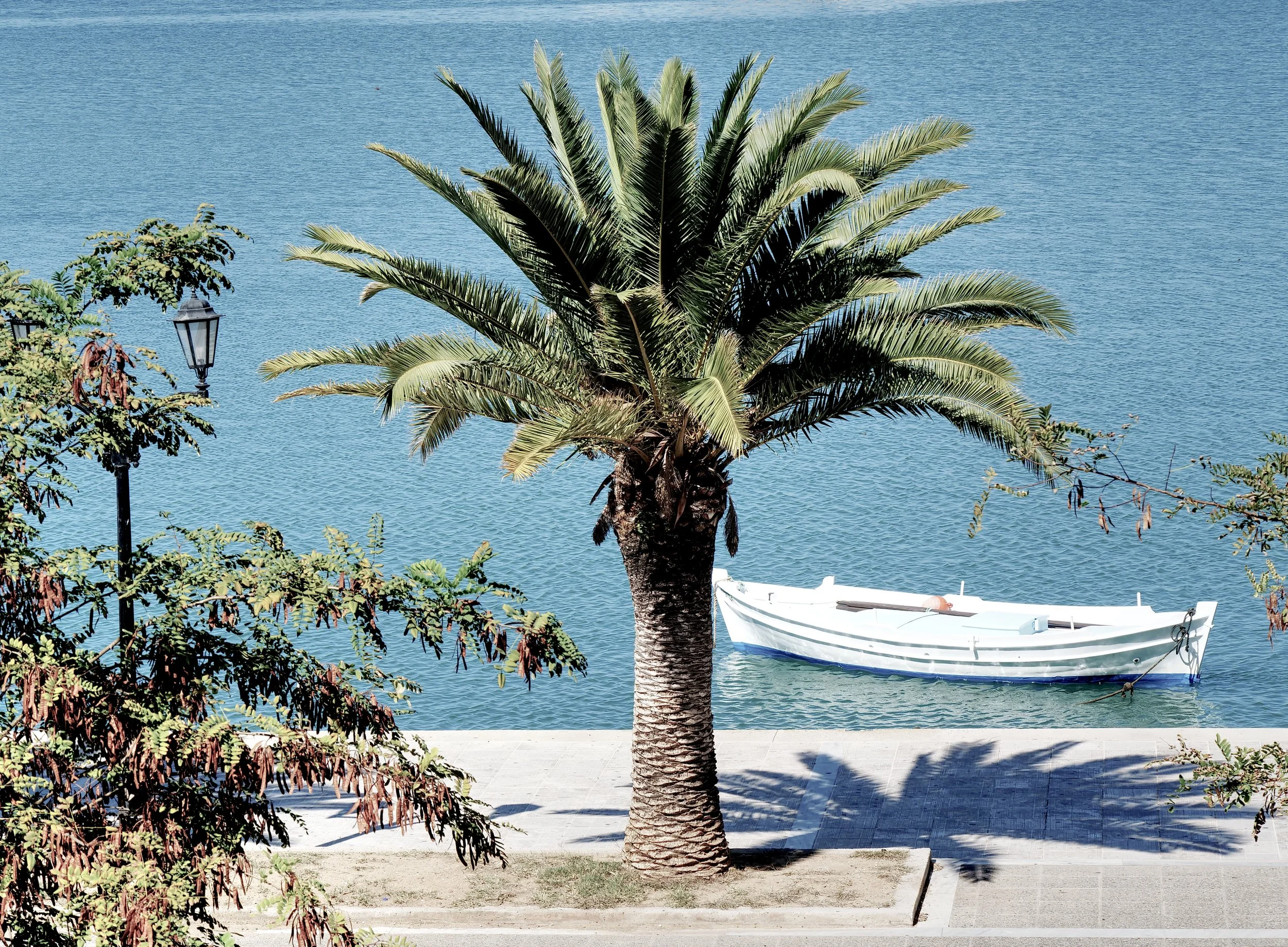 P1027564_Boat&Tree.jpg