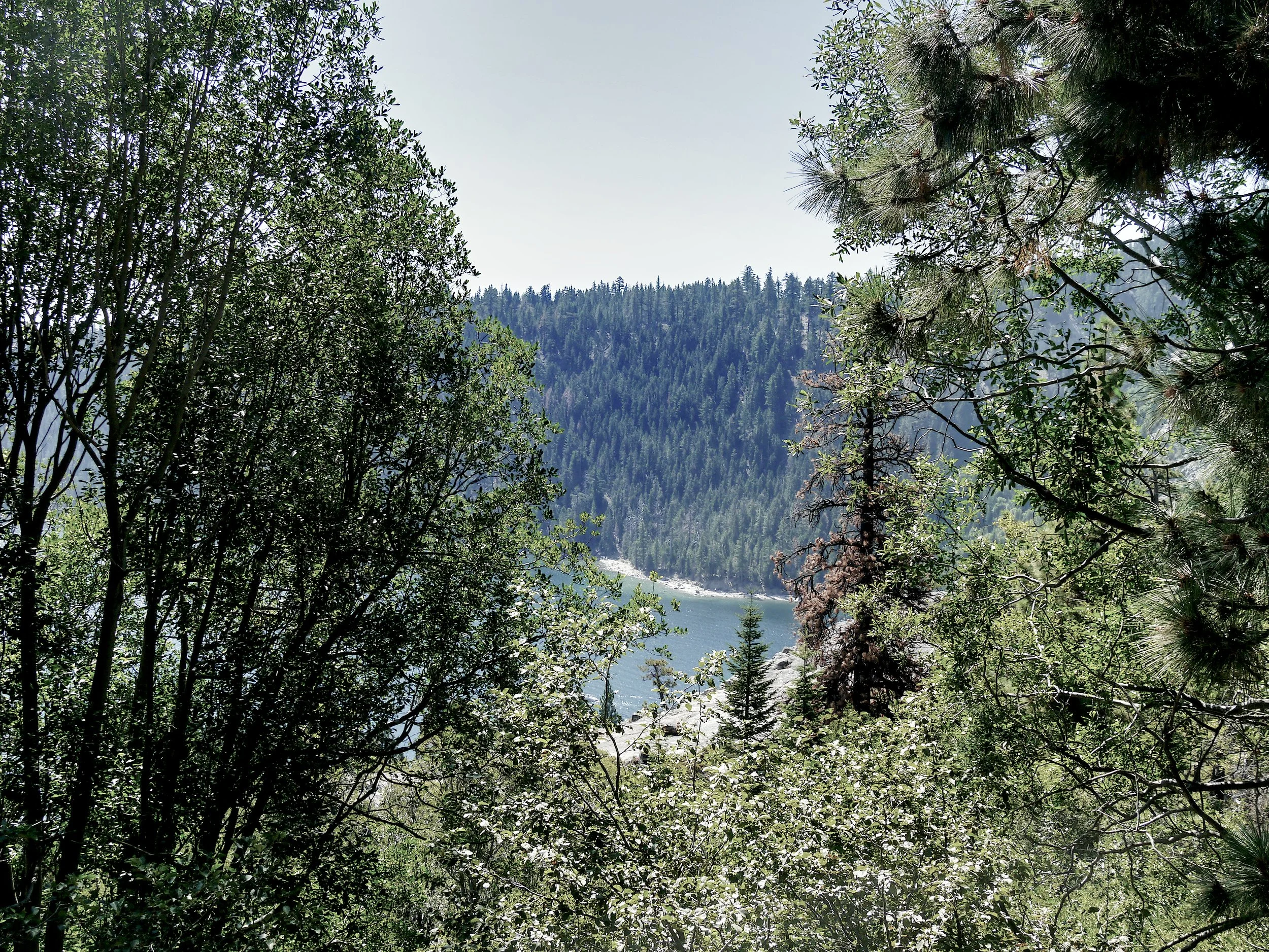 P1070426_LakeTahoe.jpg