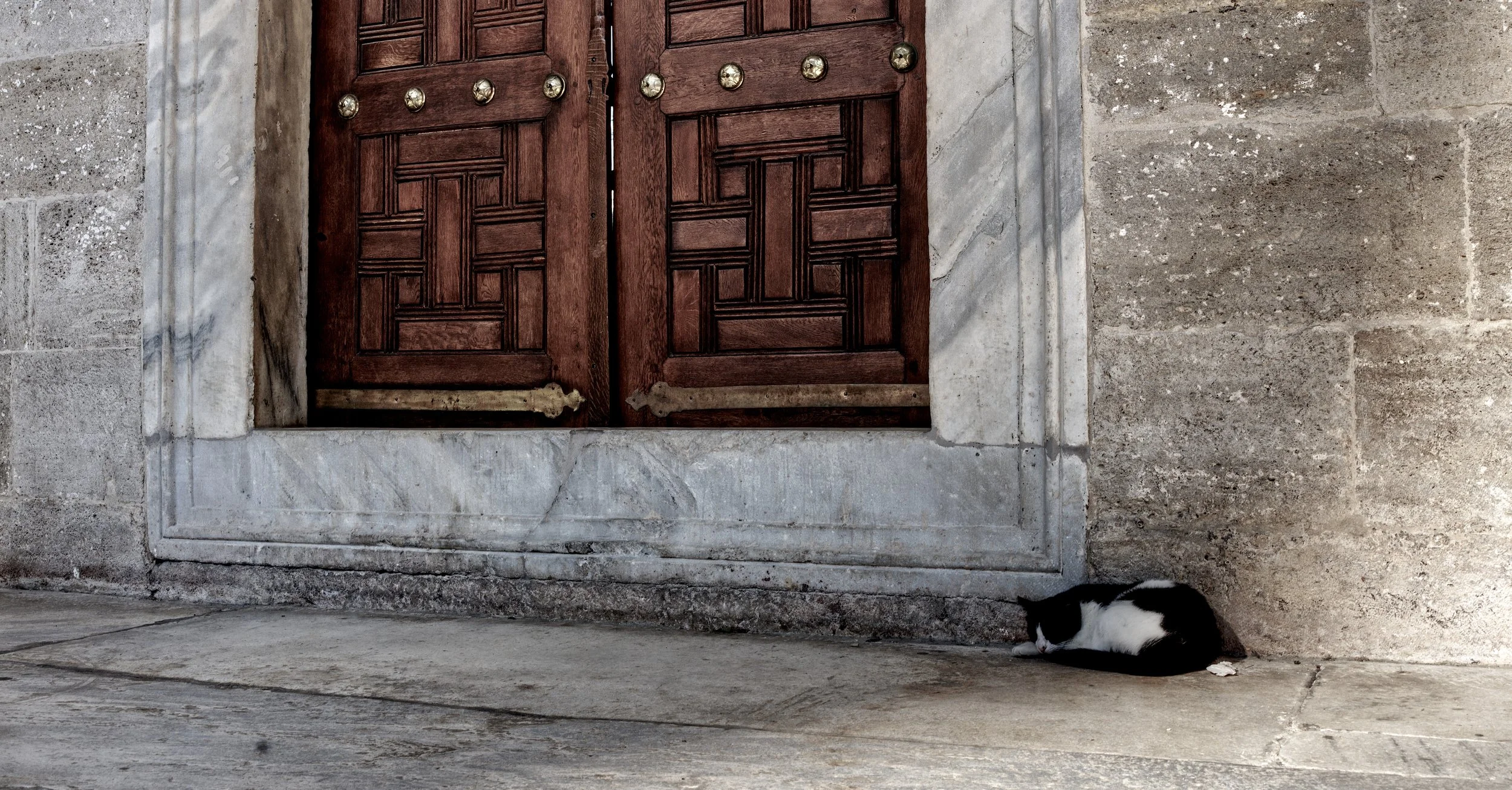 A7401301_CatMosque.jpg