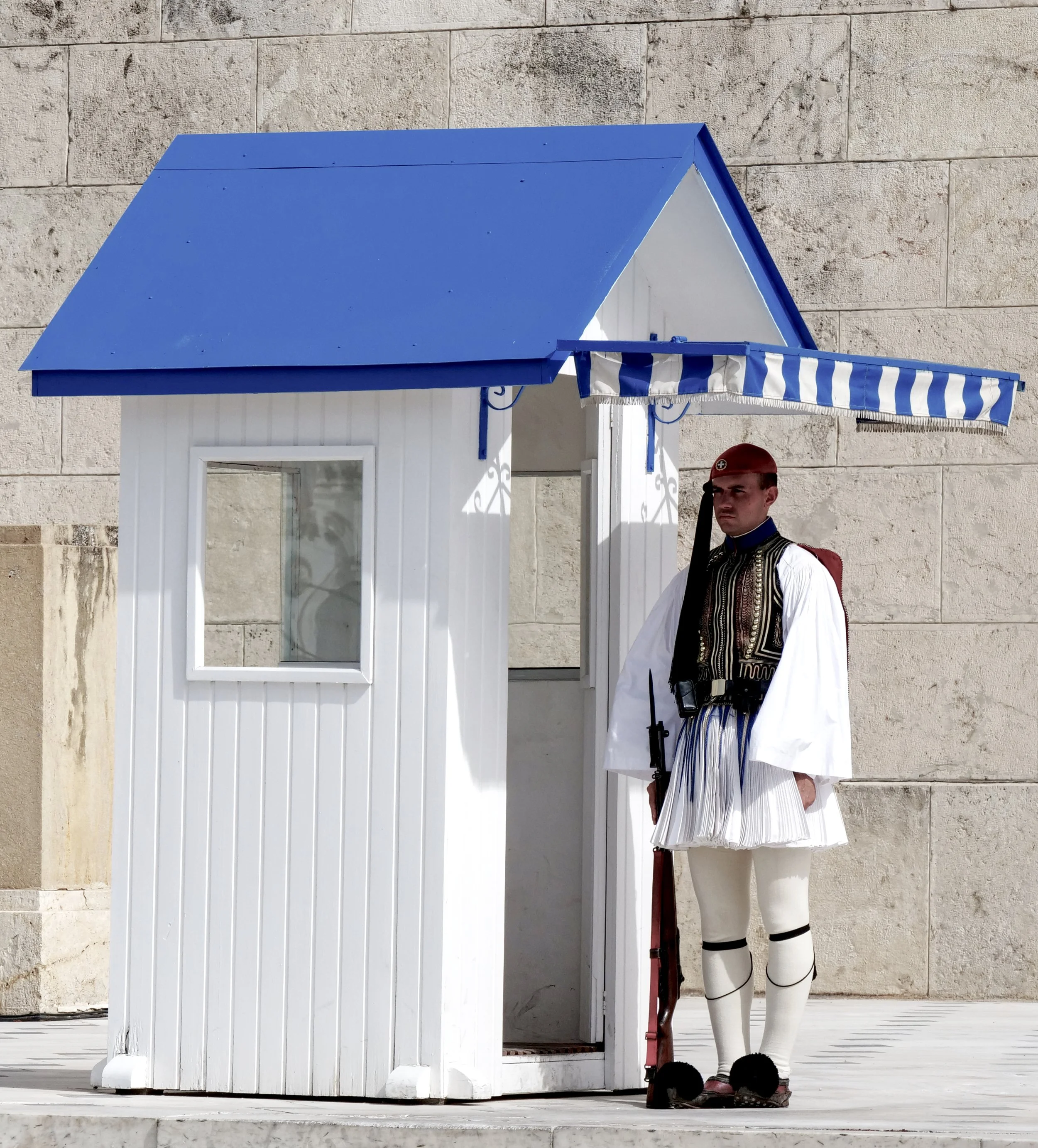 P1016844_Guard.jpg