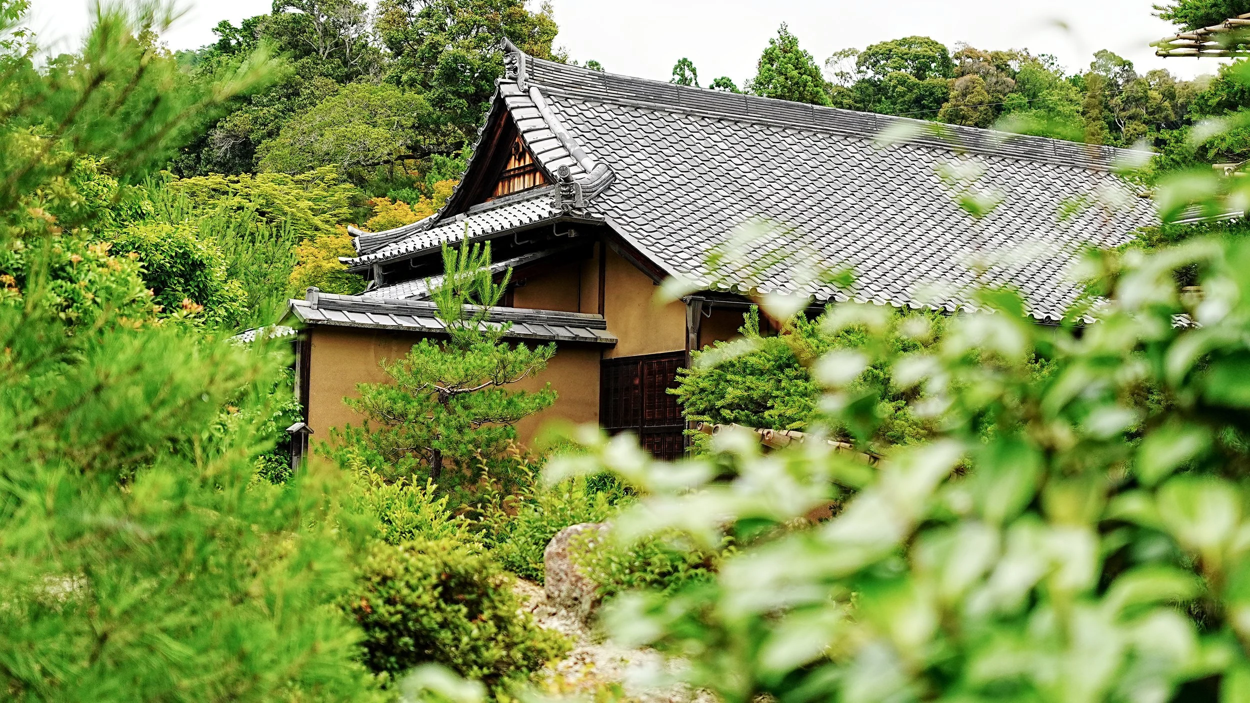 D2_KKinkaku_A7V01735.jpg