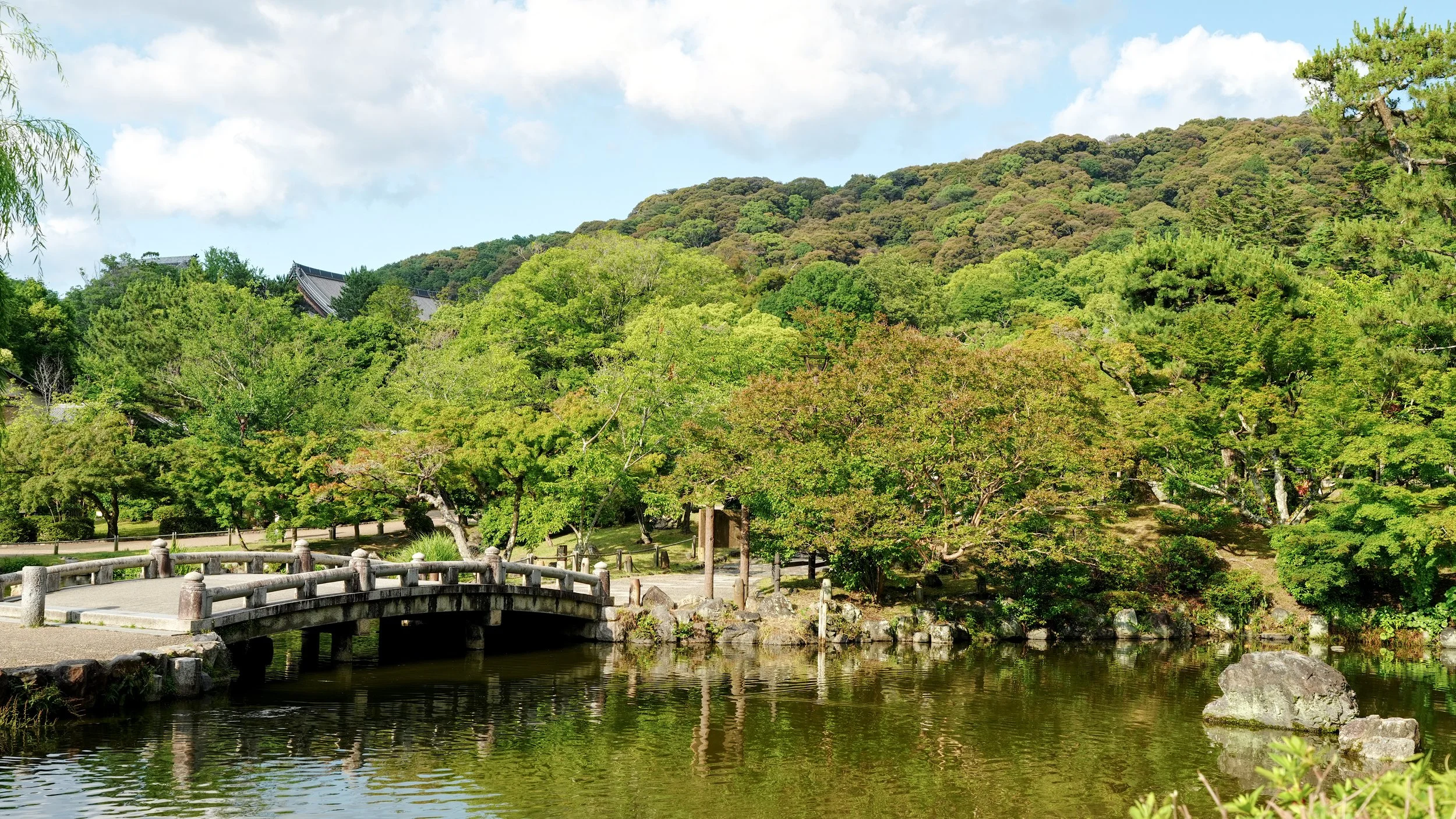 D1_KMaruyamaPark_A7V01537.jpg