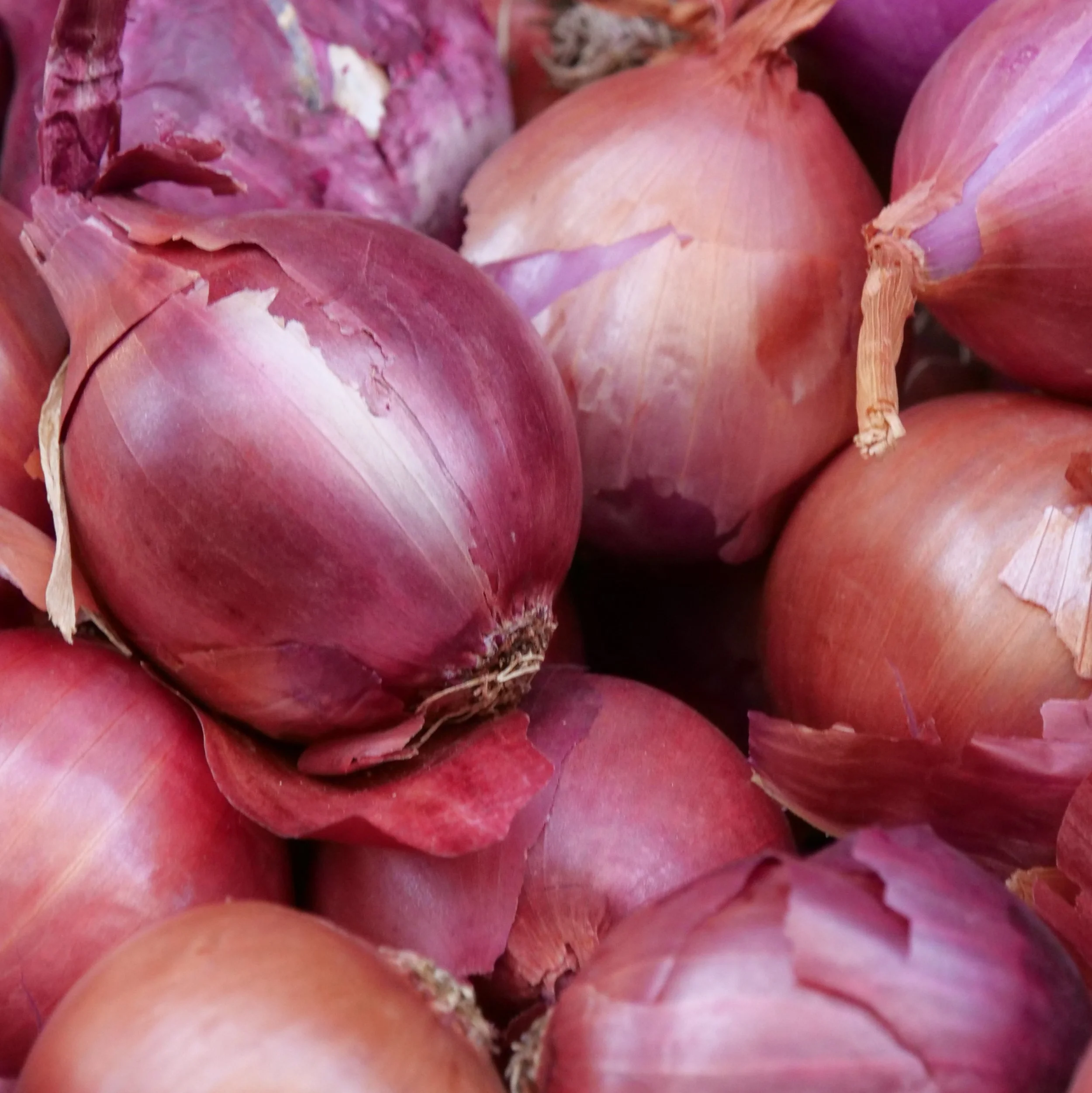 P1027462_FoodMarket.jpg