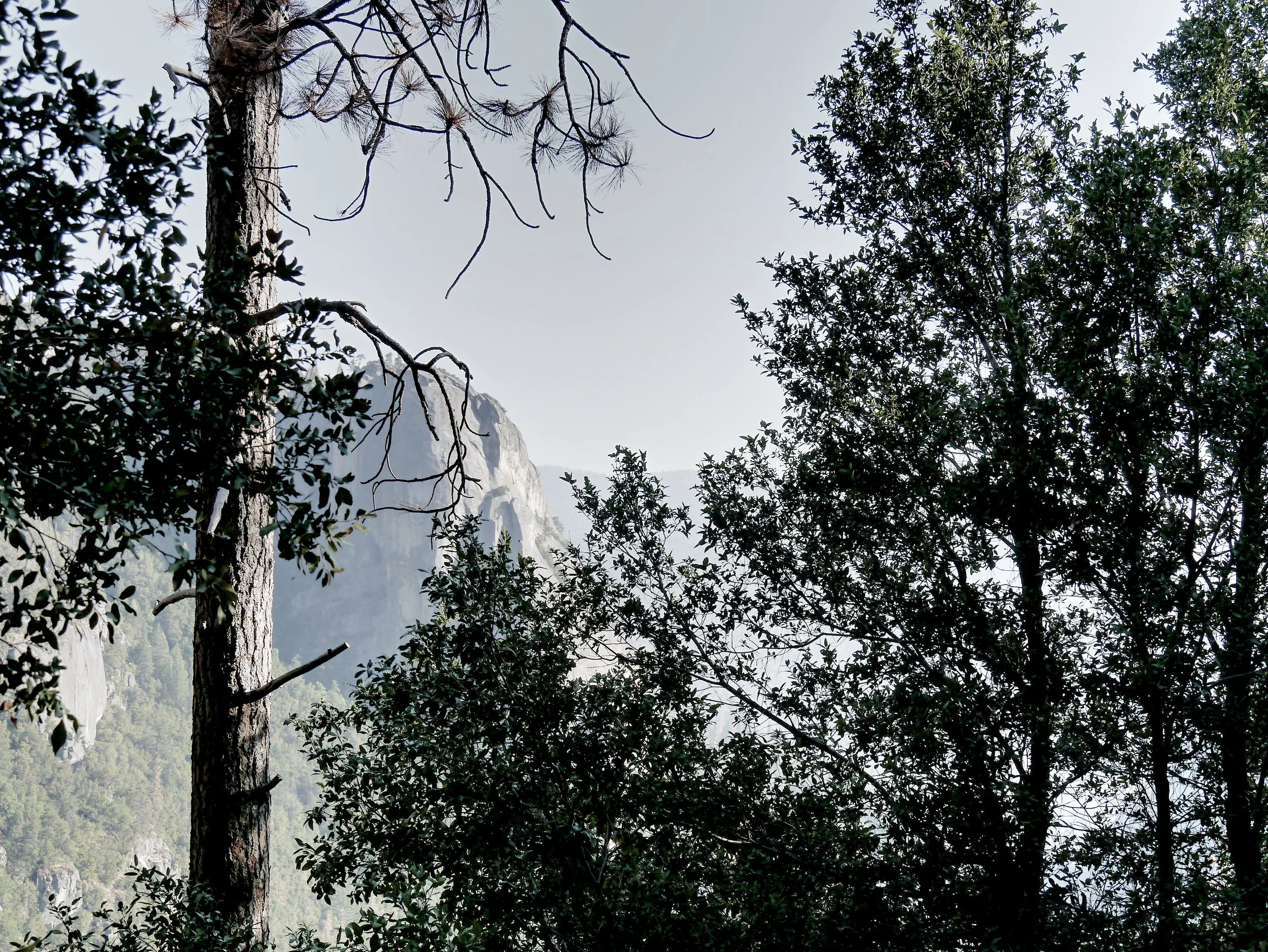 P1070134_Yosemite.jpg