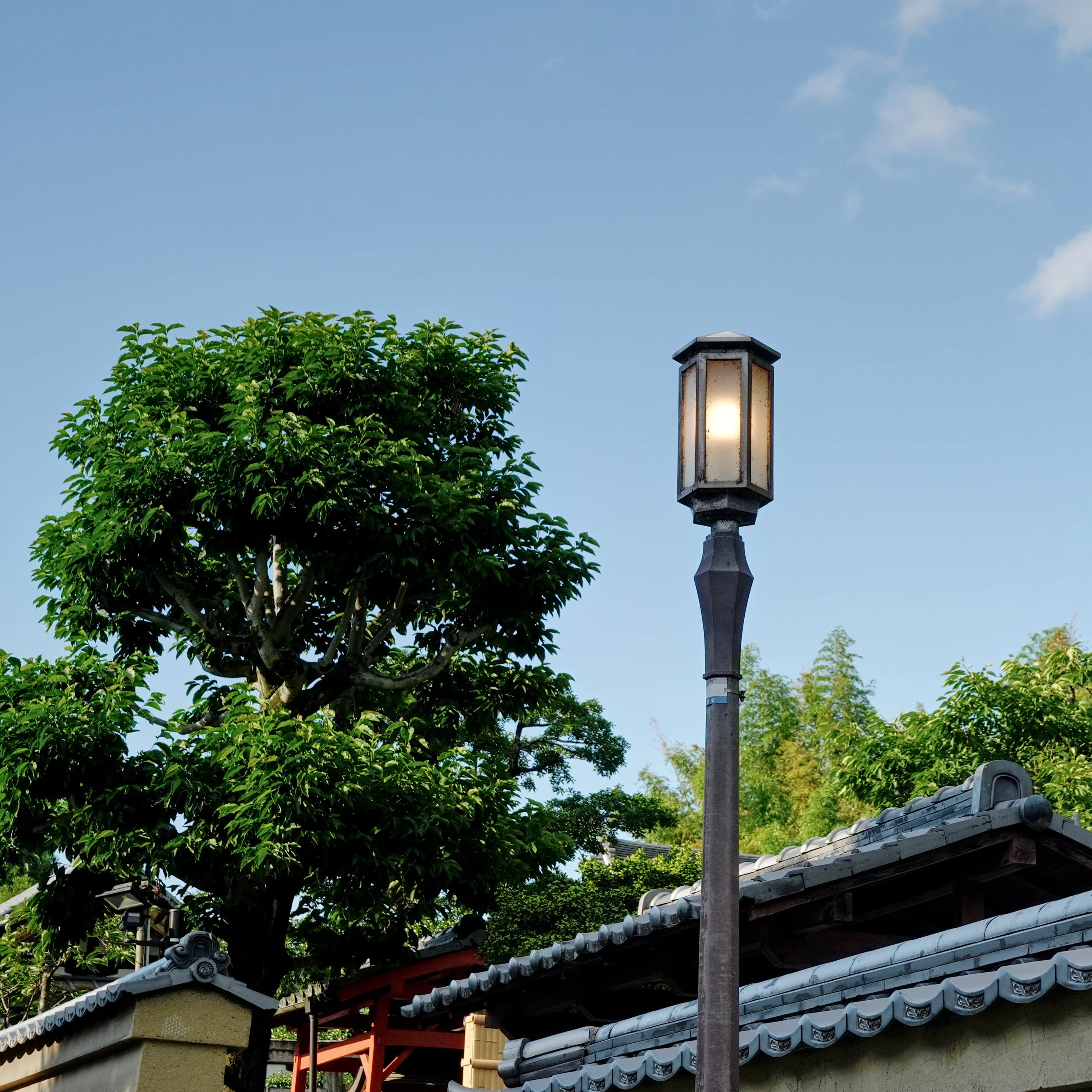 D1_StreetLight_A7V01555.jpg