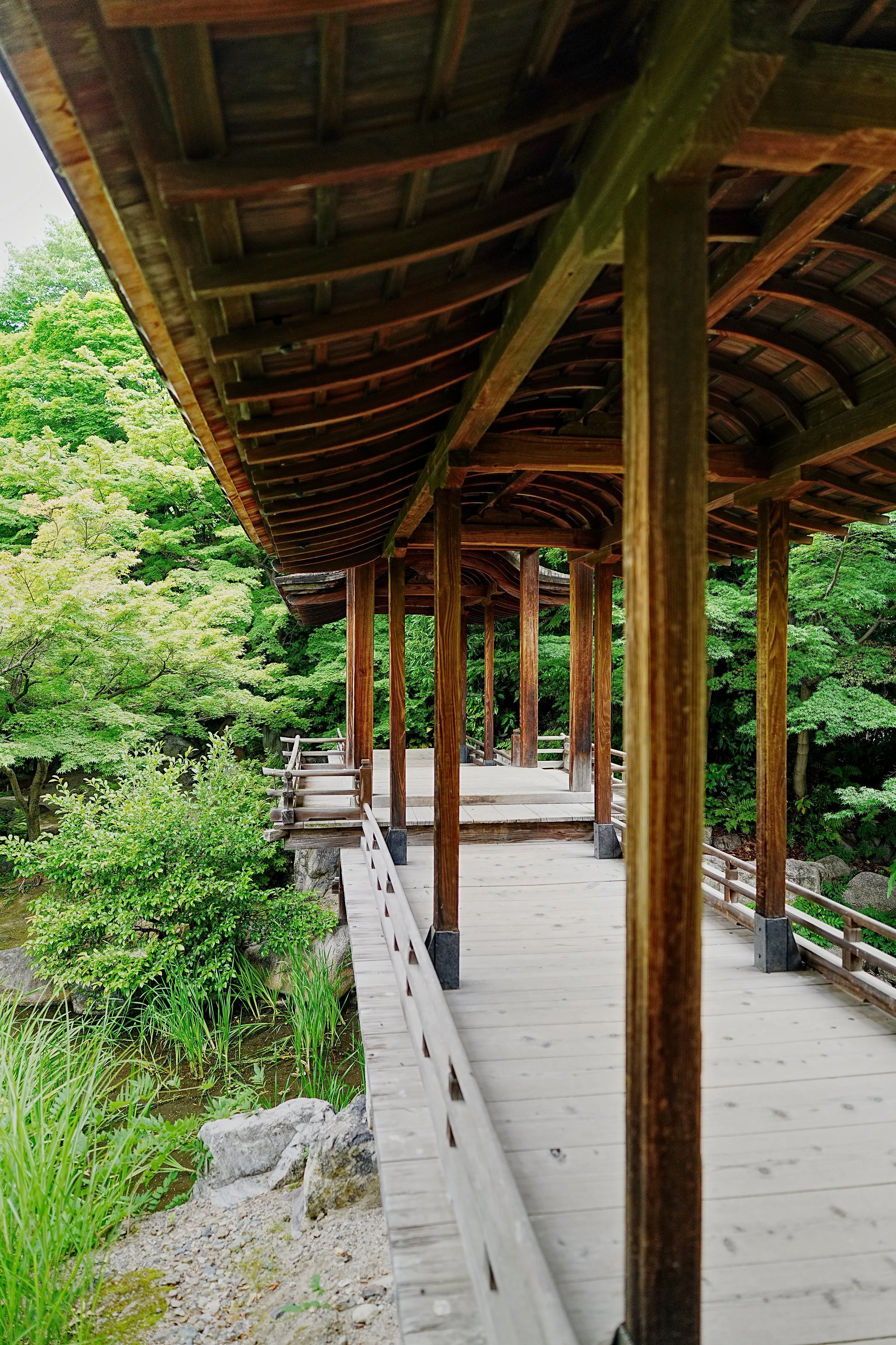 D2_KShoseienGarden_A7V01686.jpg
