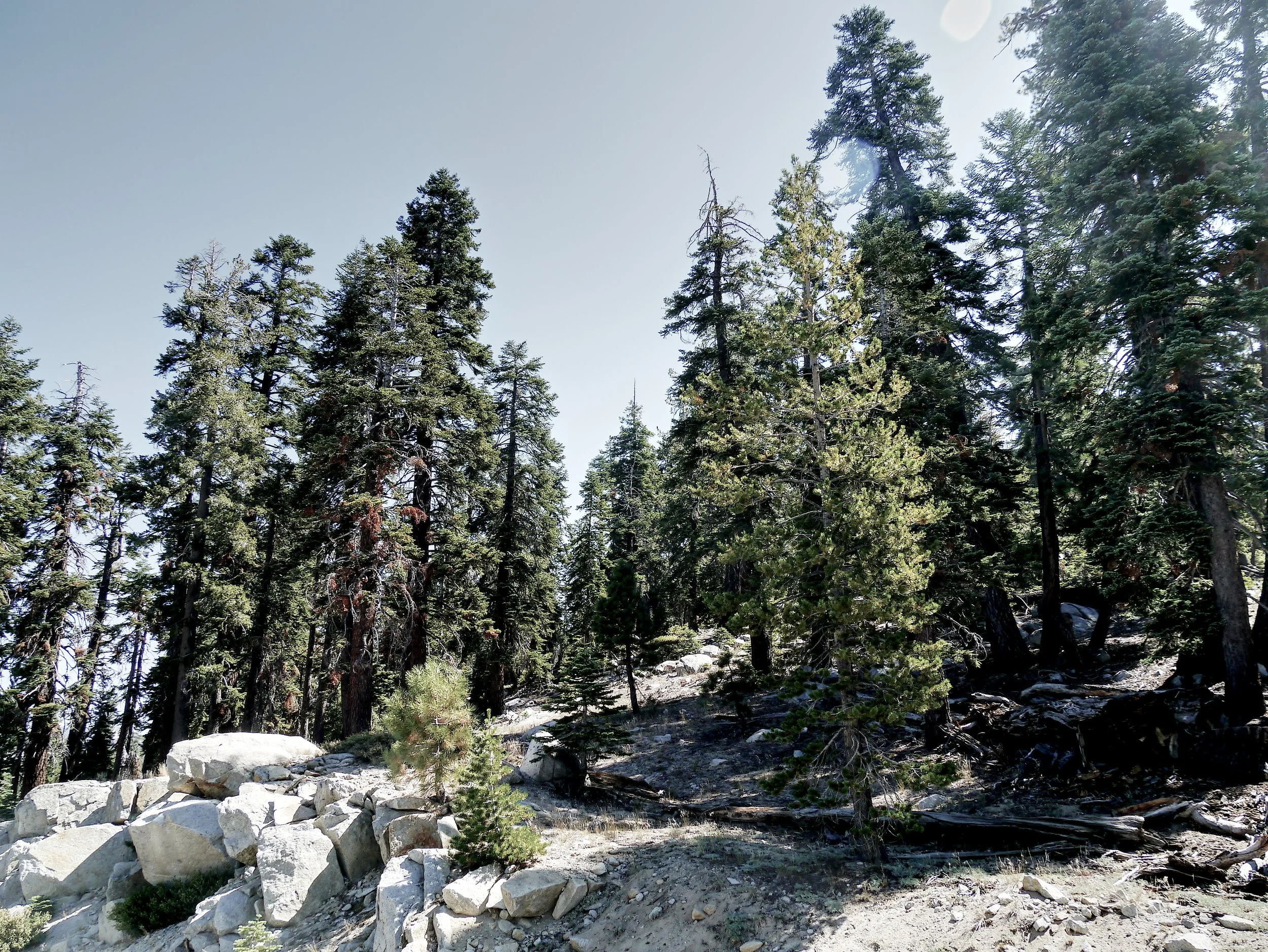 P1070277_YosemiteC.jpg