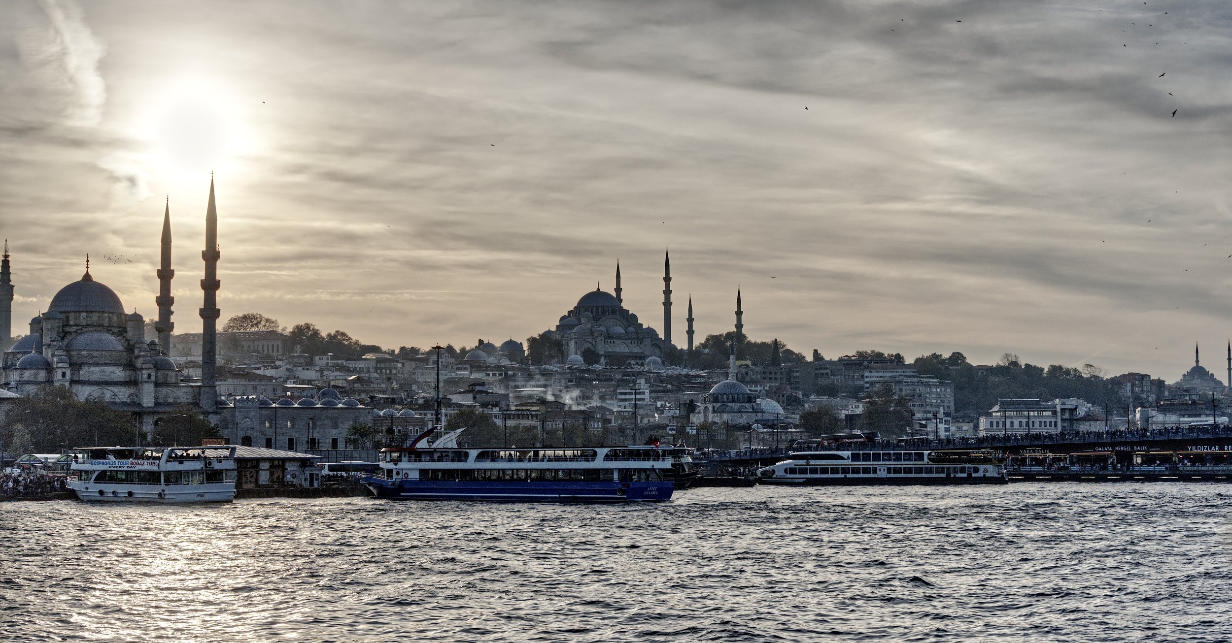 A7401365_GoldenHorn.jpg