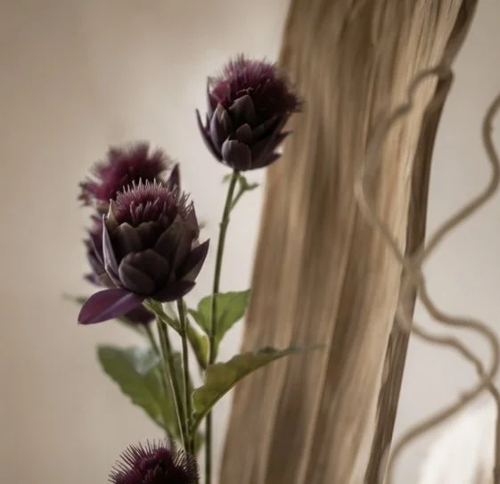 botanical_closeup 2.jpg