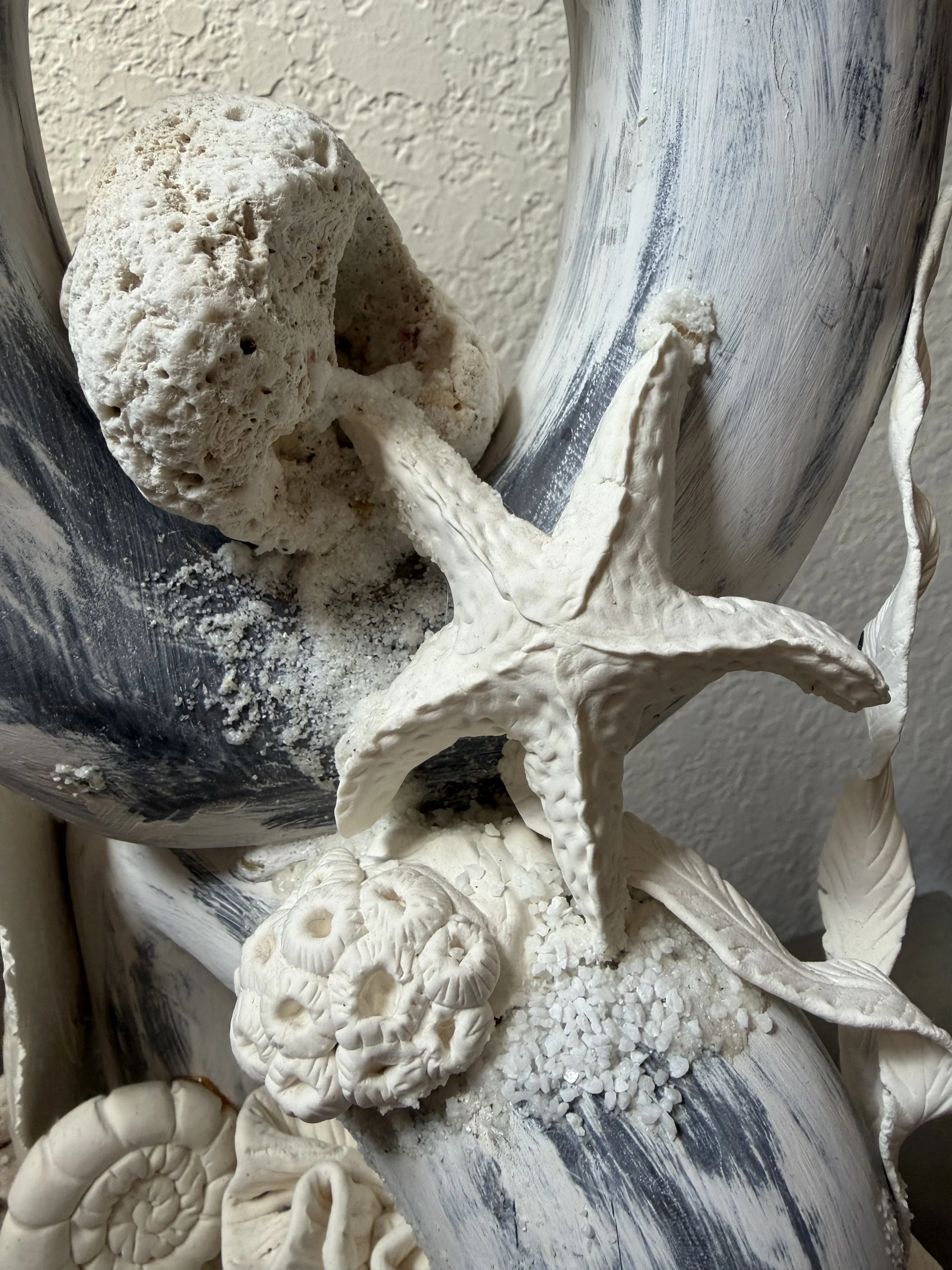 Sea life formed with clay to create a sculpture