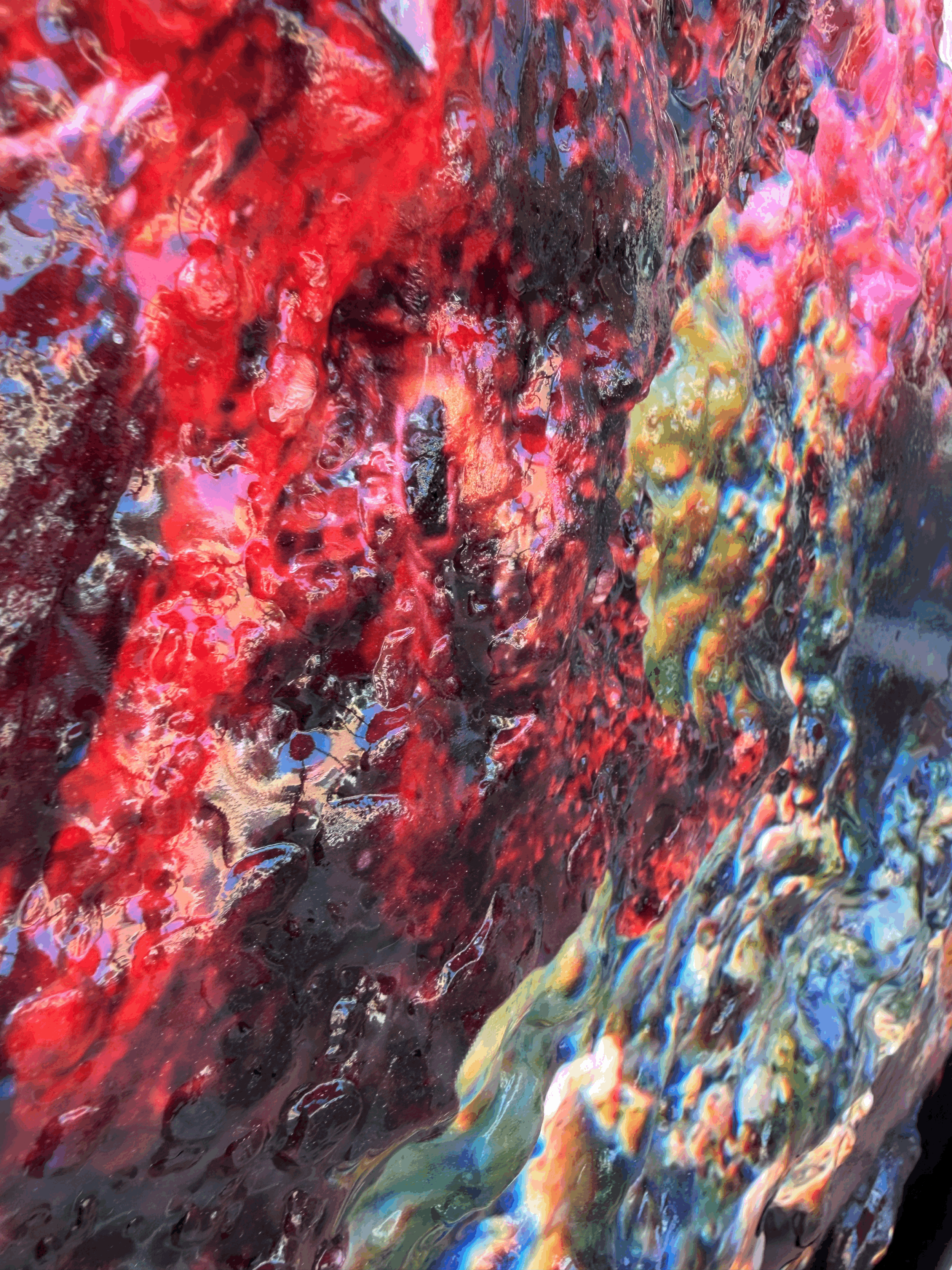 tempImagedkrT6L.gif