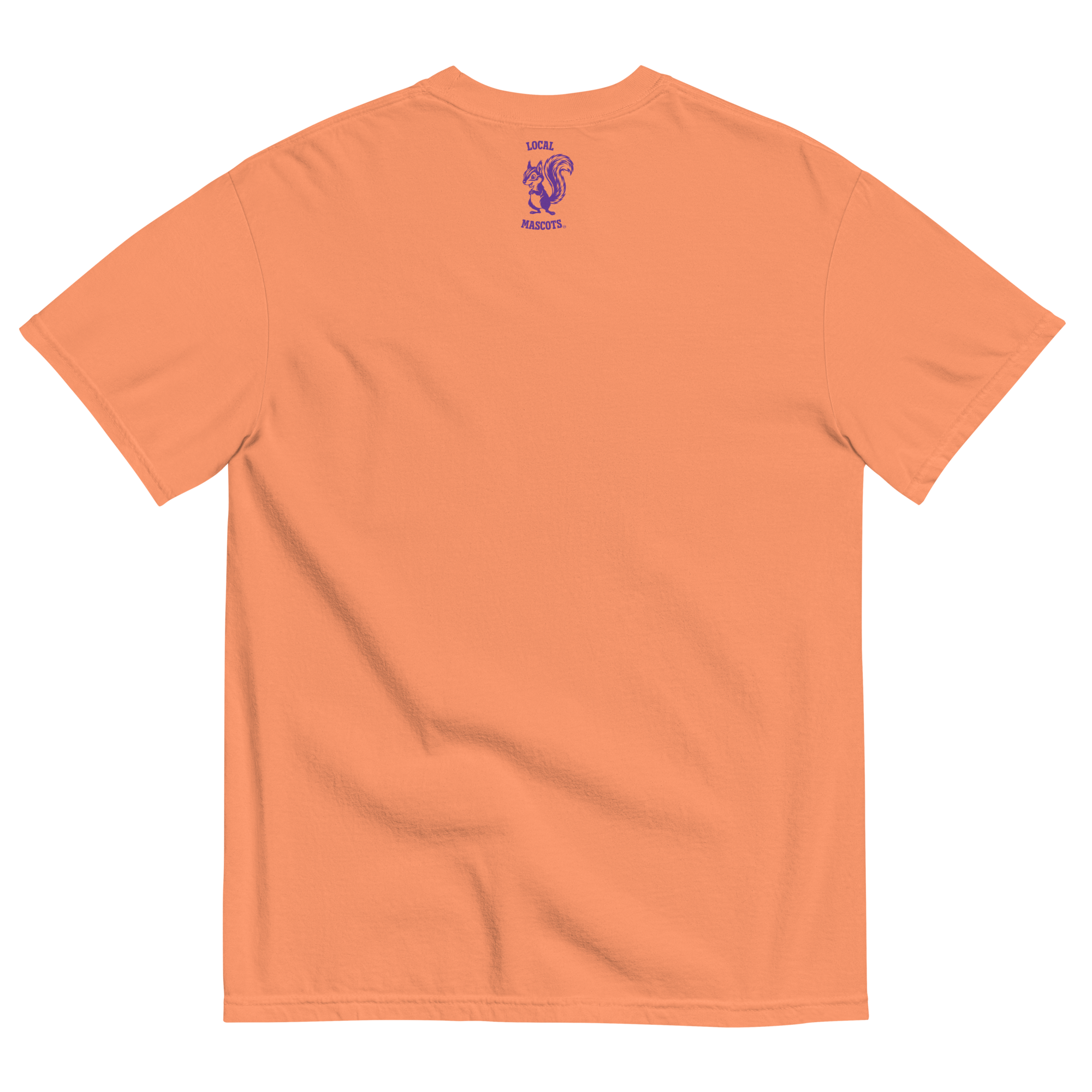 unisex-garment-dyed-heavyweight-t-shirt-terracotta-back-6a1e2f781d46c.png