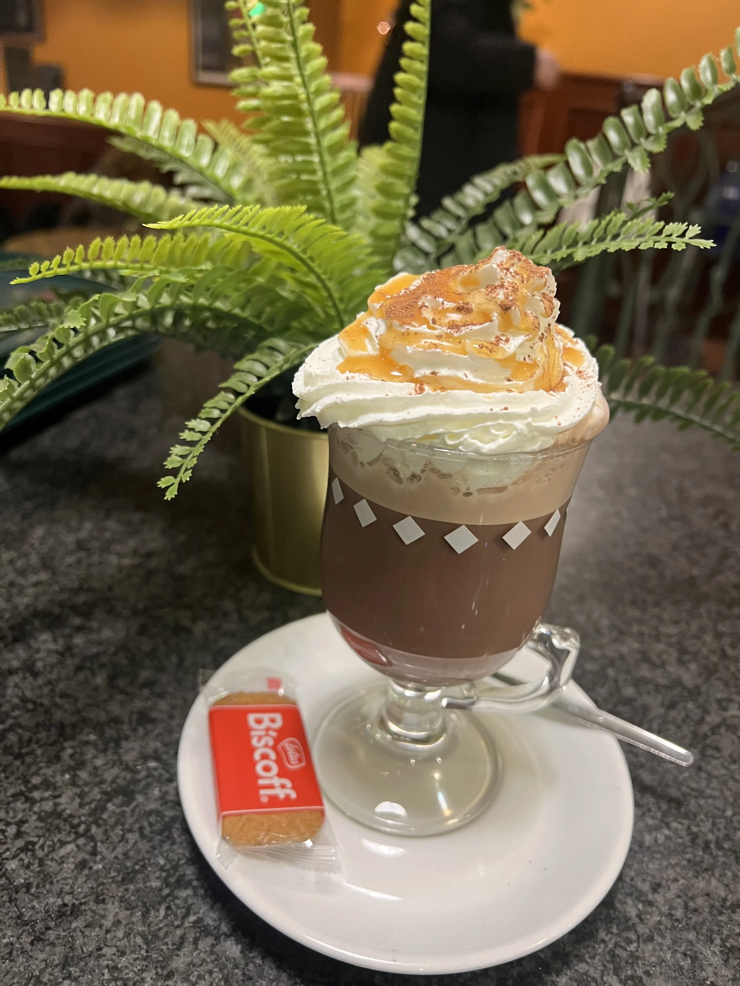 A tall glass of chocolate dessert topped with whipped cream, caramel sauce, and a sprinkle of cinnamon sits on a white plate. A small biscotti cookie is placed on the plate next to the glass. In the background, a green potted fern plant and a person 