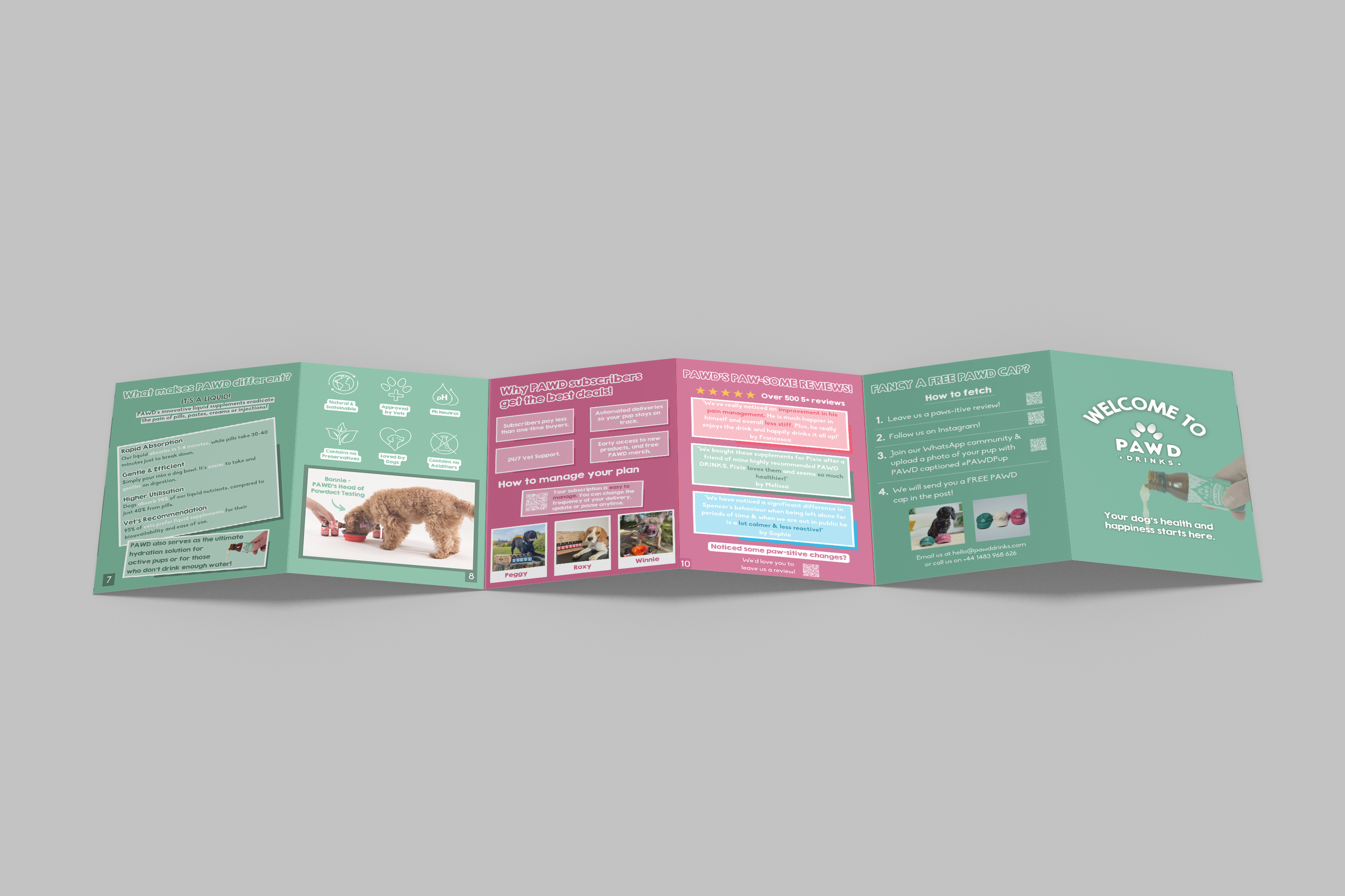 Printed brochure about dog health and diet tips, with sections on paw fitness reviews, managing dog diets, and tips for free pawd drinks.
